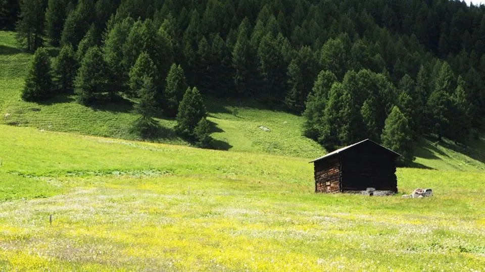 Property building in Mountain Apartments