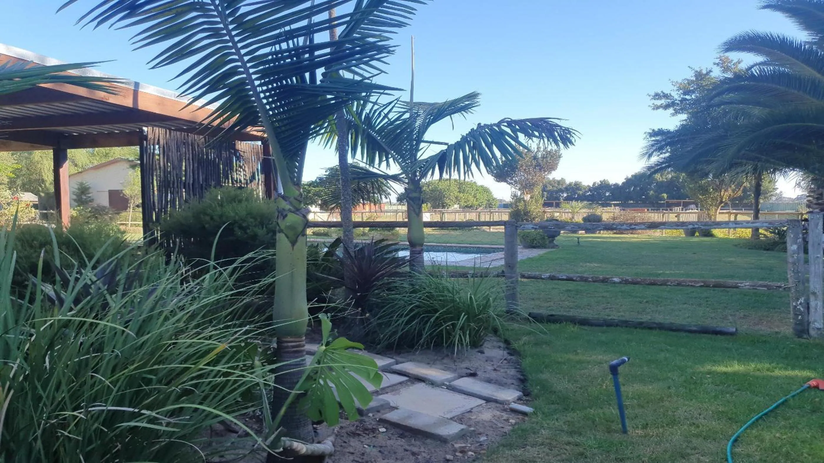 Garden view in New Hunters Moon