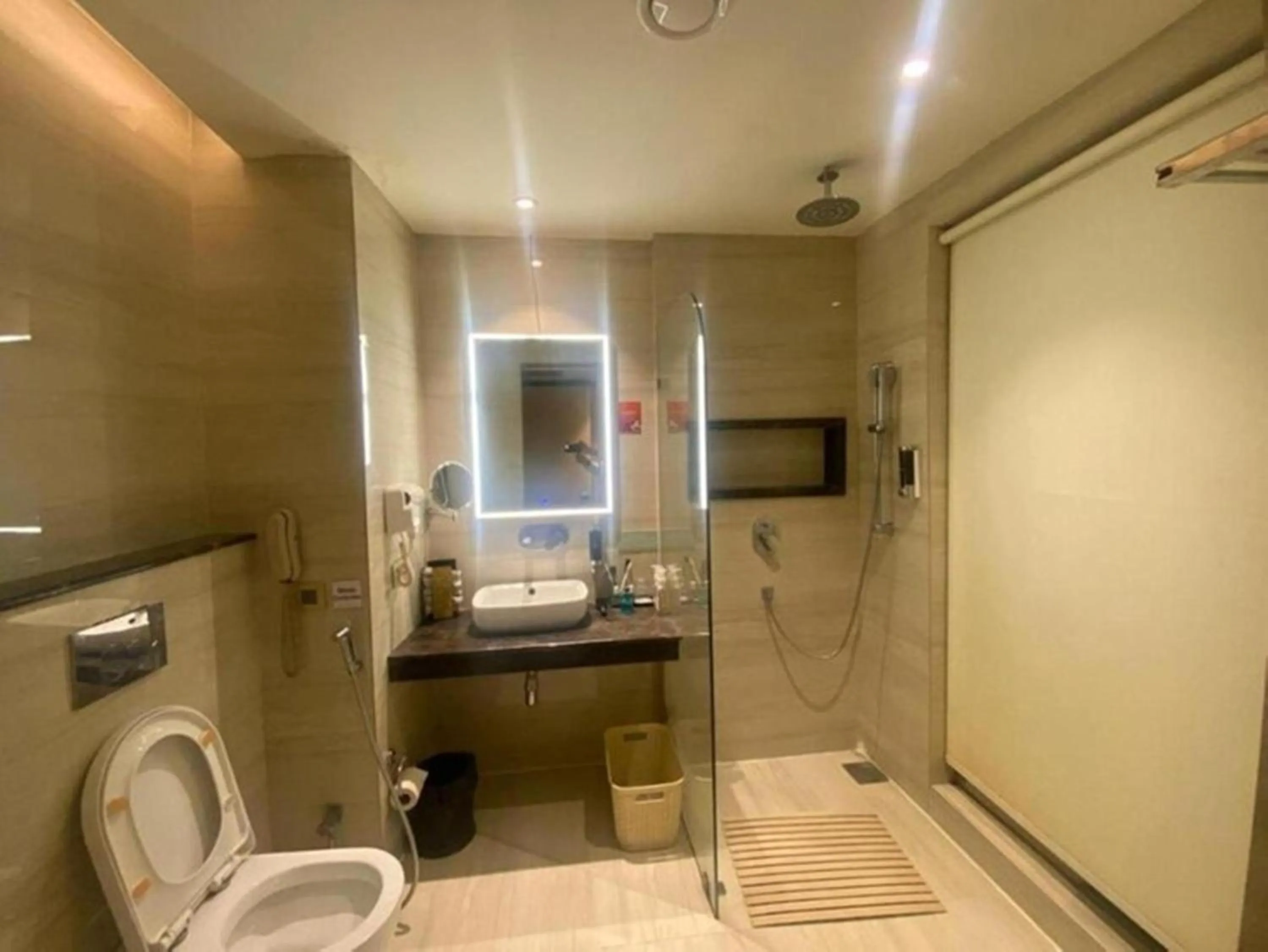 Toilet in Hotel V Hazratganj