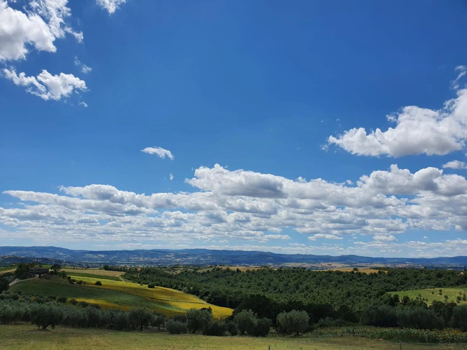 Natural landscape in La Collina