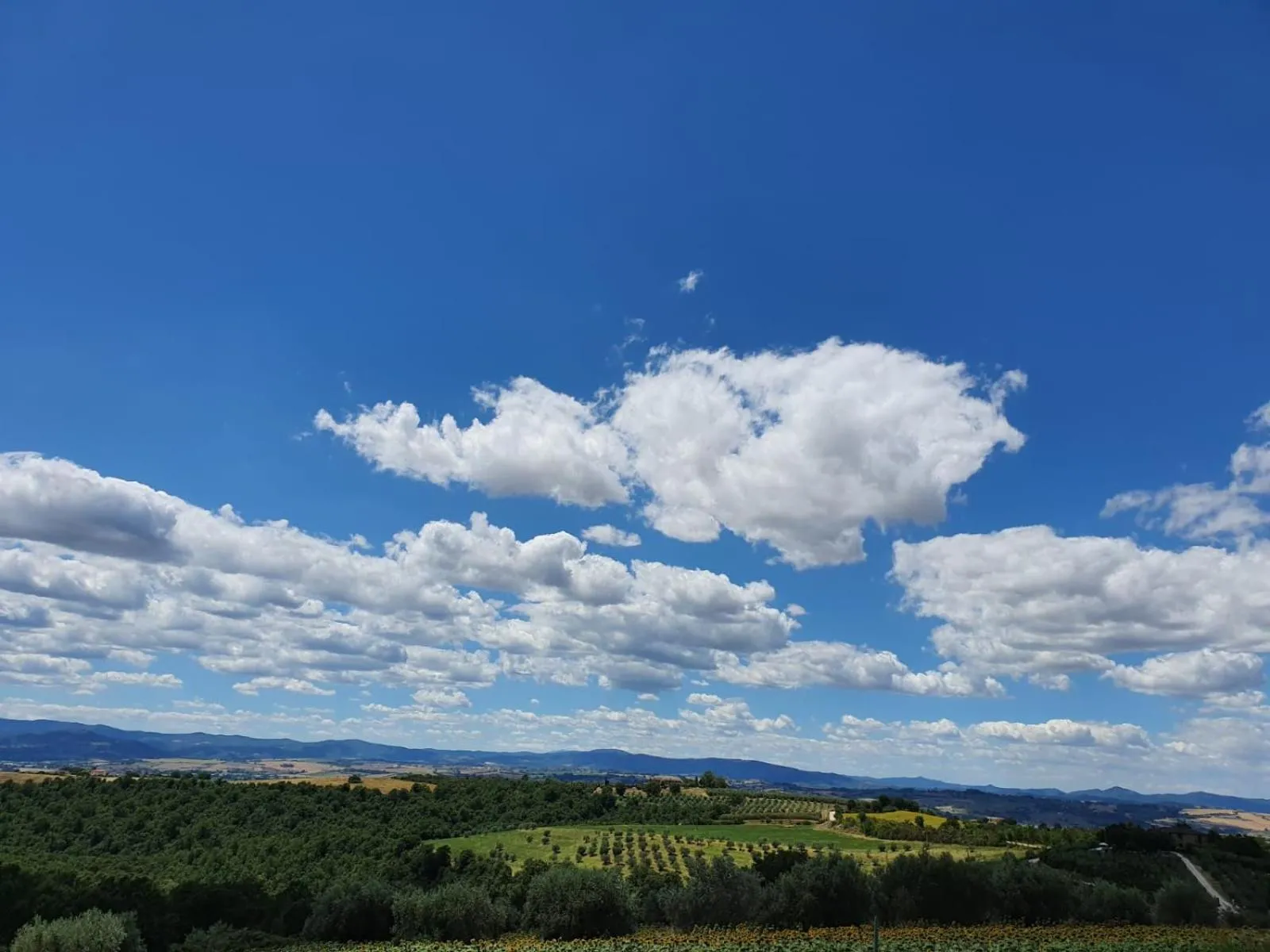 Natural landscape in La Collina