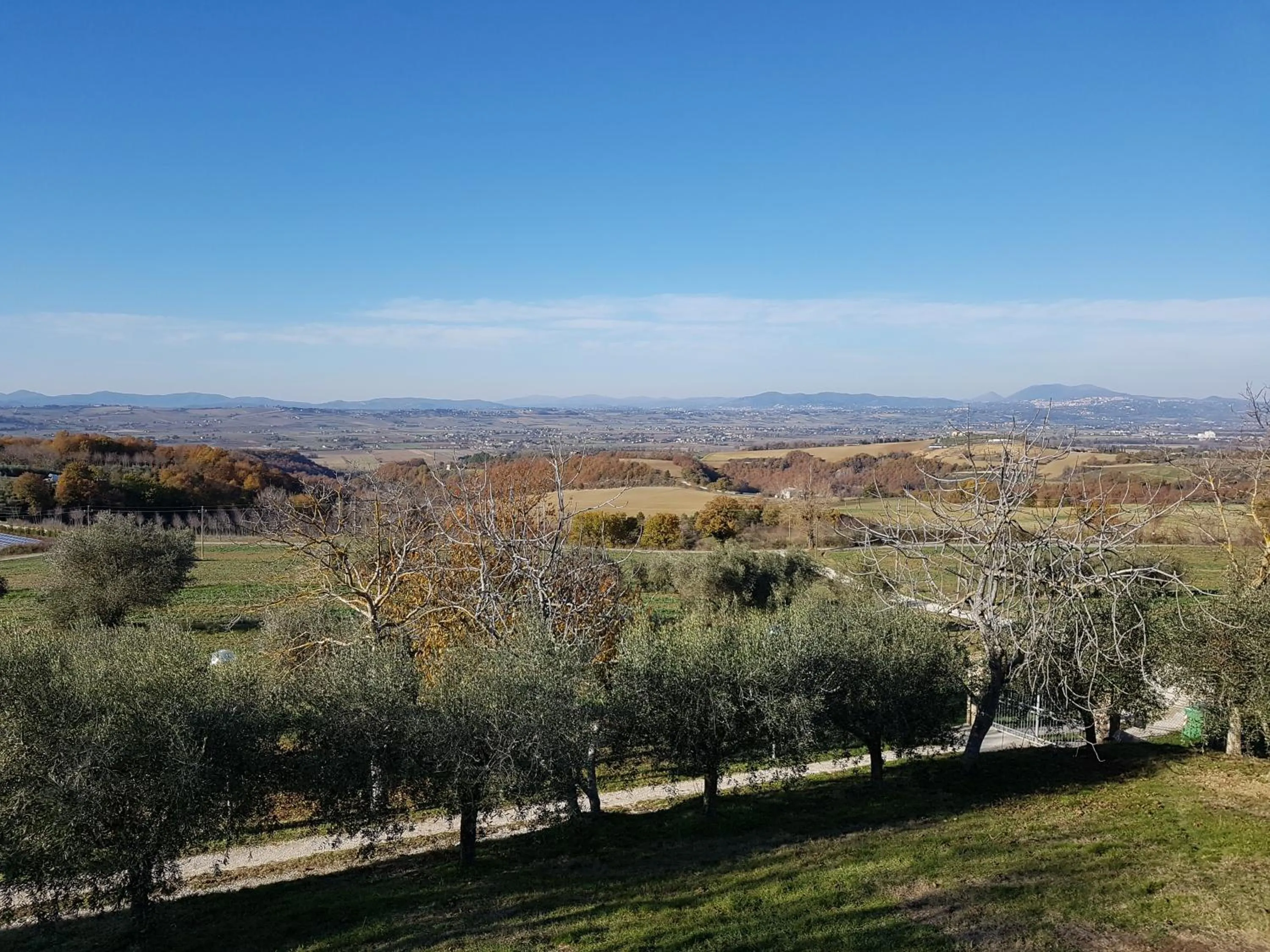 View (from property/room) in La Collina