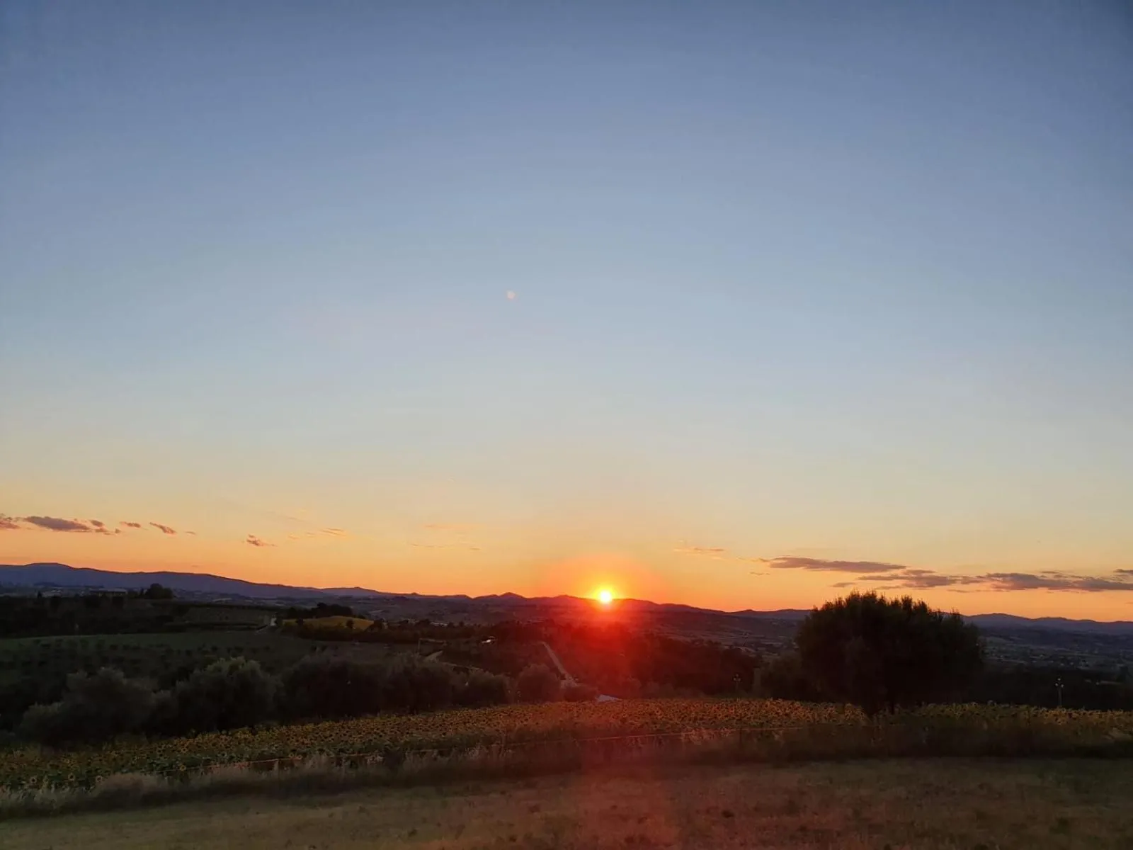 Natural landscape in La Collina