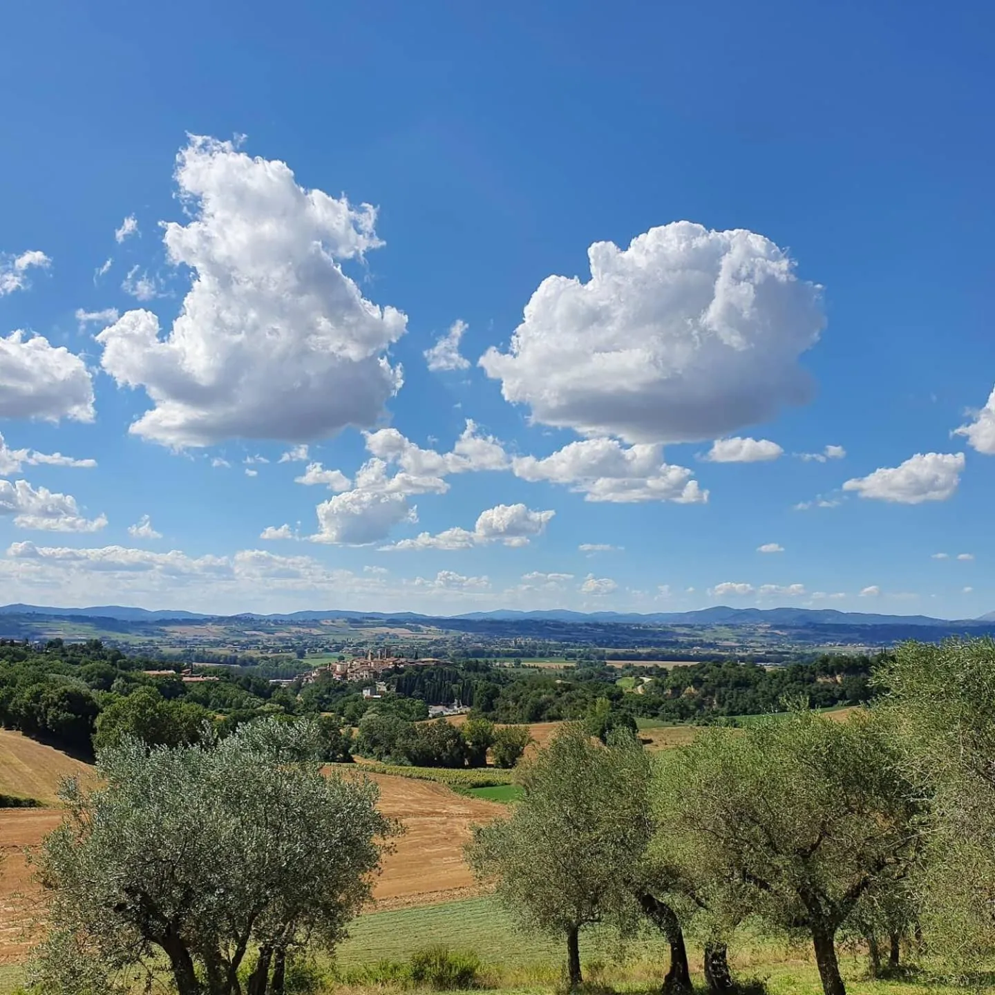 Natural landscape in La Collina