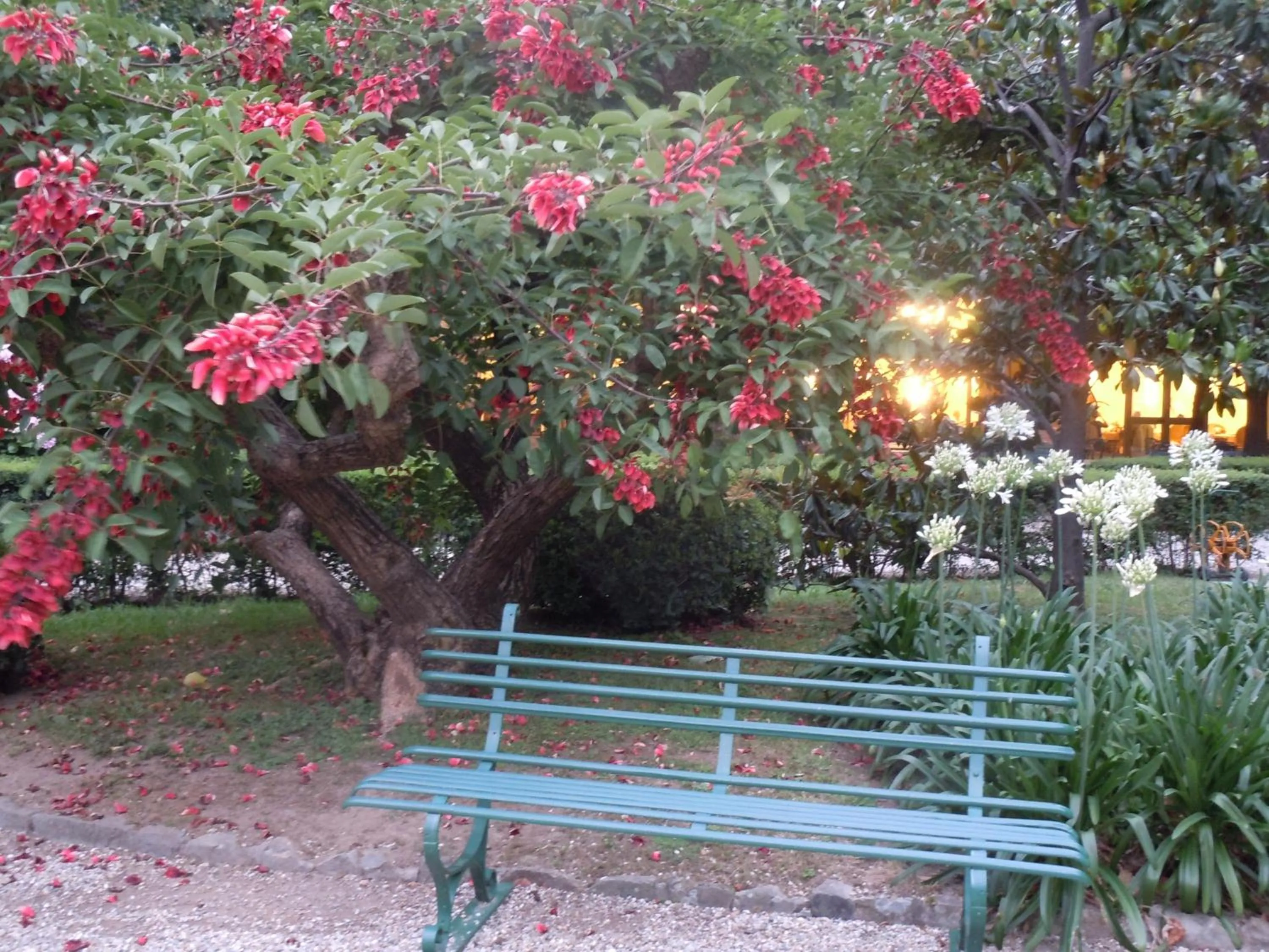 Garden in Grand Hotel Villa Balbi