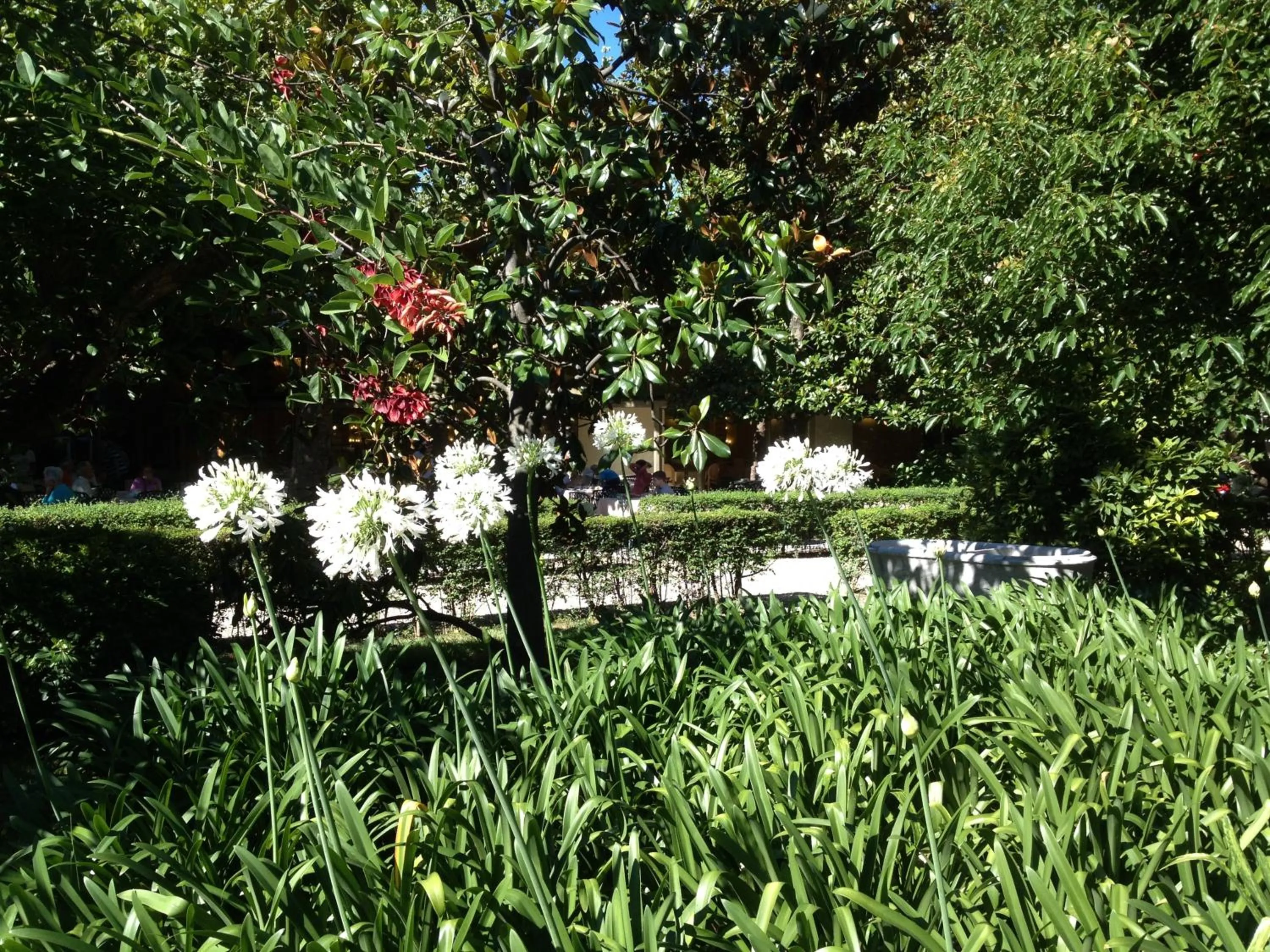 Garden in Grand Hotel Villa Balbi
