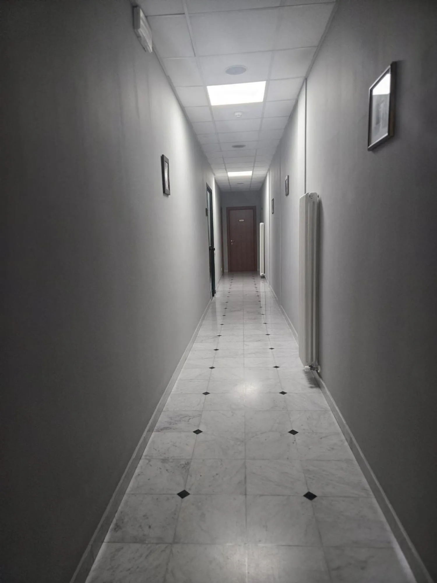 Area and facilities in Hotel Rigolfo