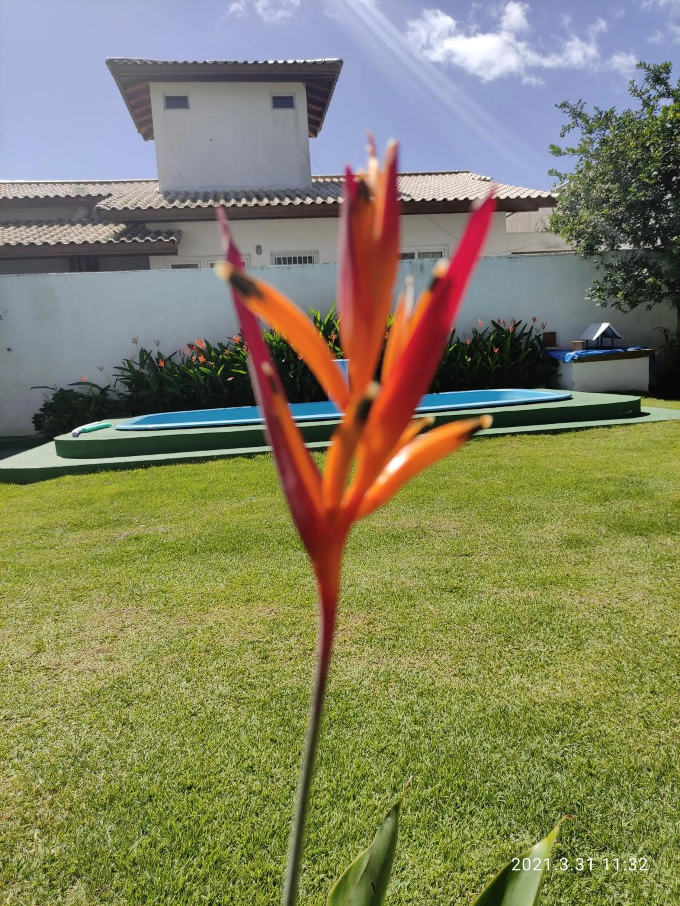 Garden in Di Raffaele Bombinhas