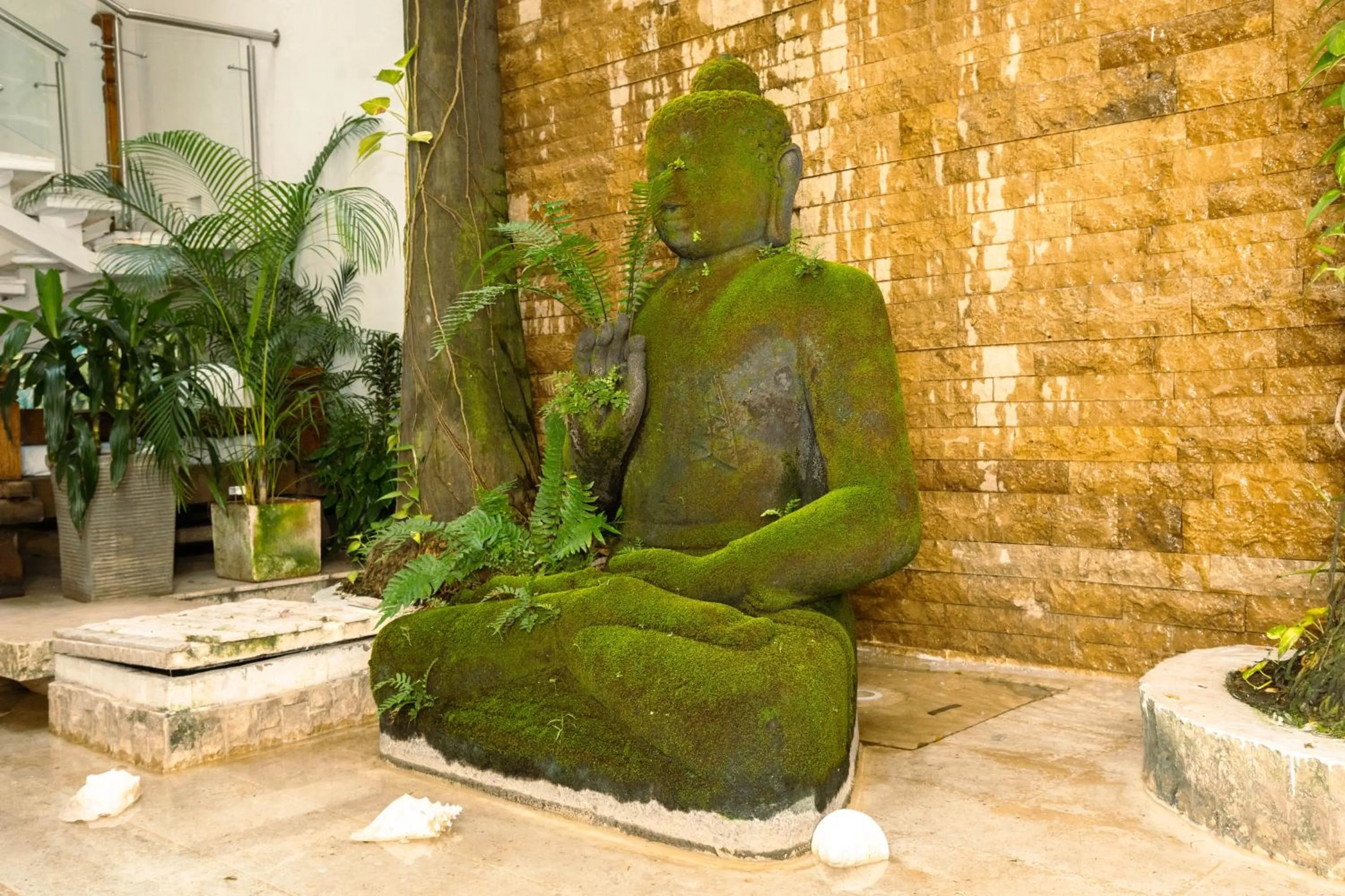 Patio in Hotel Aguamarina Boutique