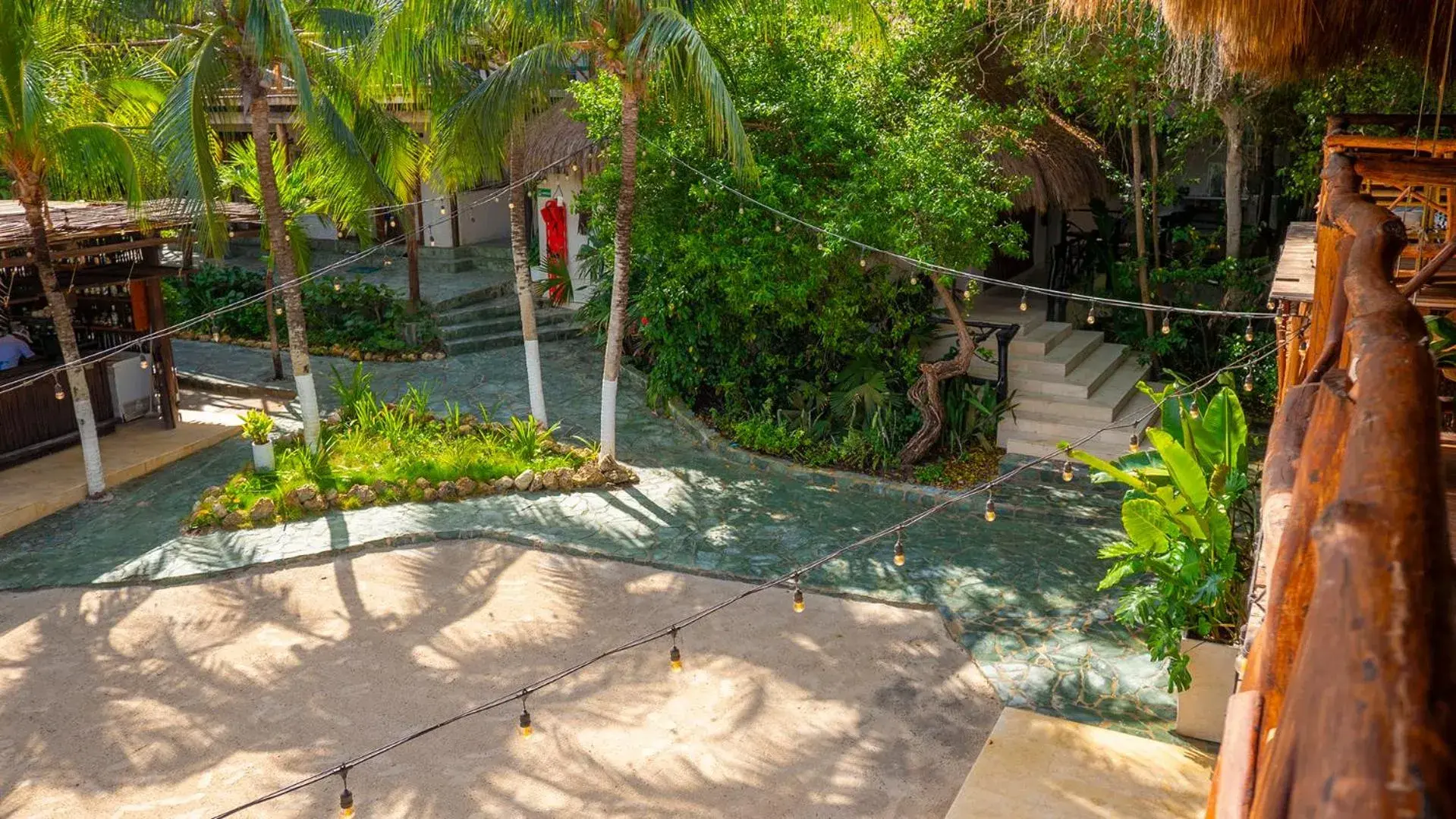 Garden view in Aura Hotel Barú Garden view in Aura Hotel Barú