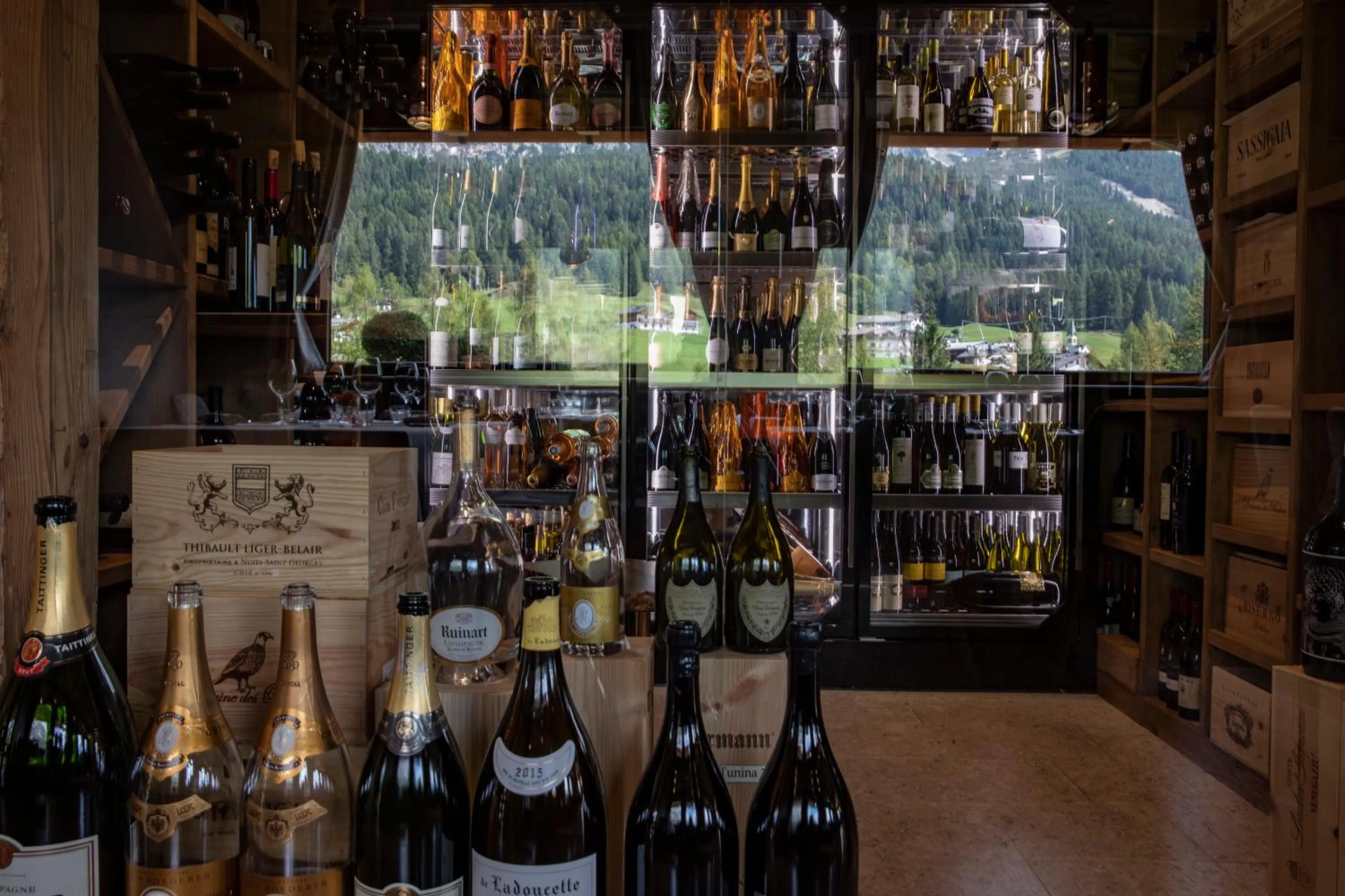 Area and facilities in Dolomiti Lodge Alverà