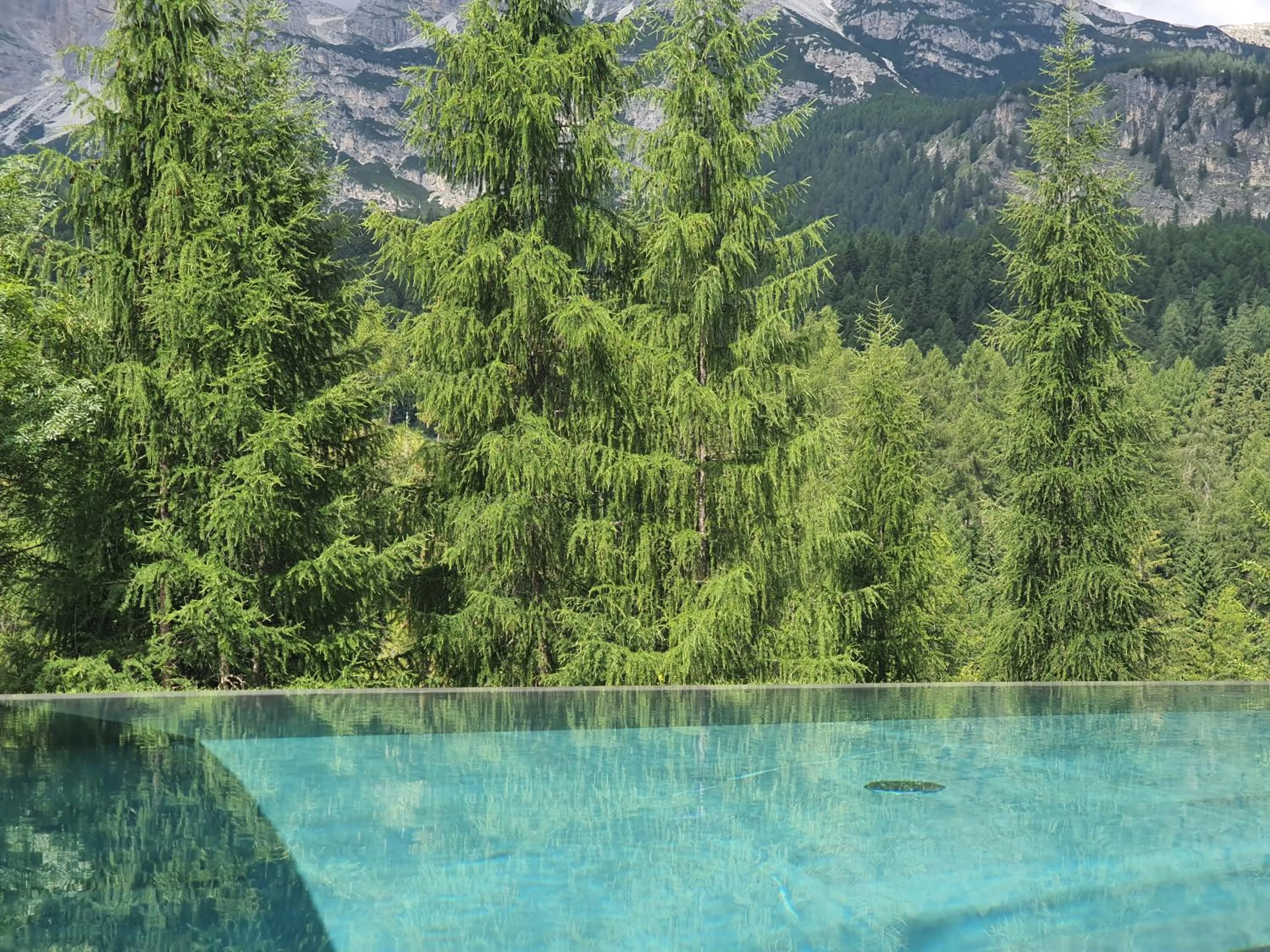 Swimming pool in Dolomiti Lodge Alverà