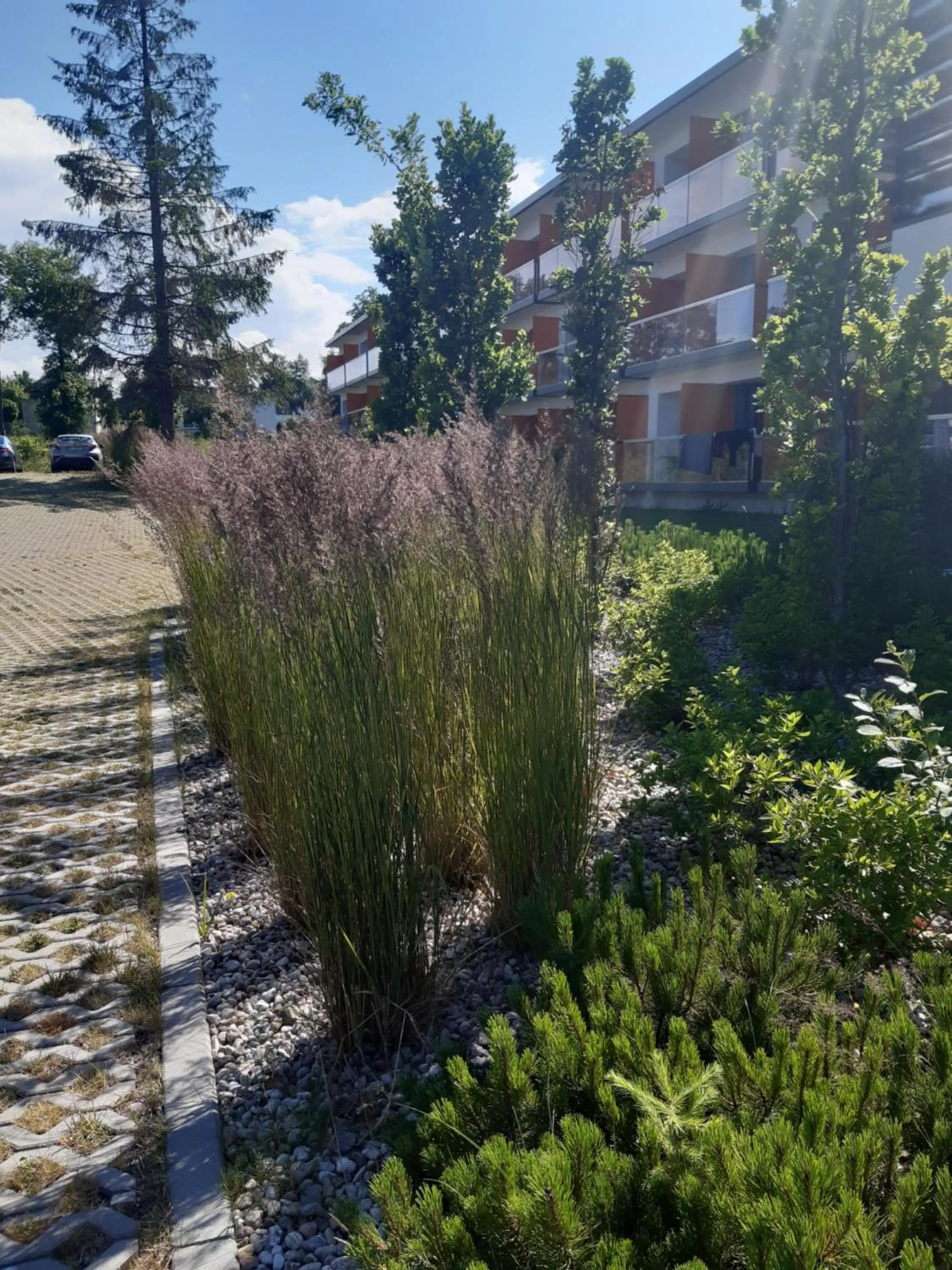 Natural landscape in Sea Power Residence Jastrzębia Góra