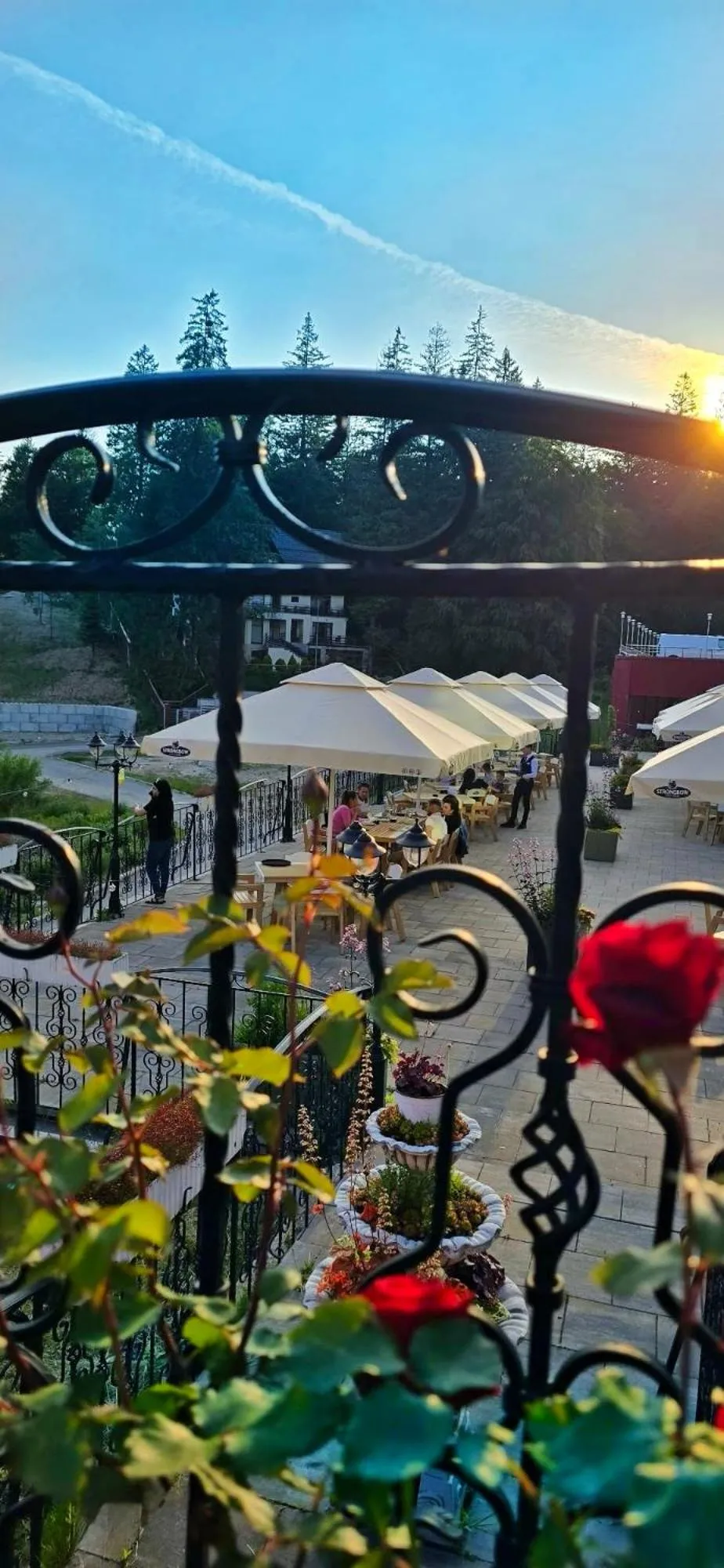 Balcony/Terrace in Hotel Piatra Mare