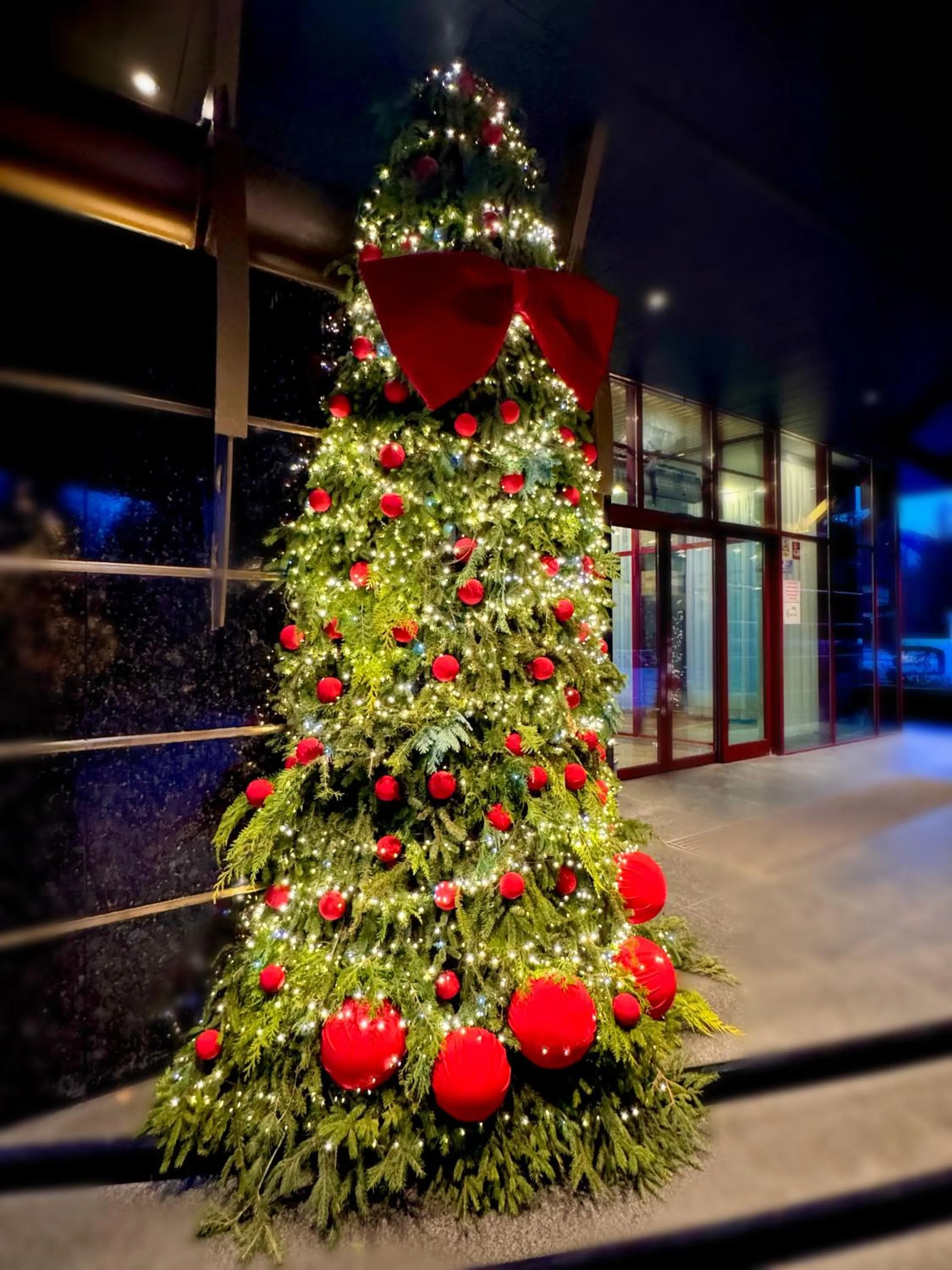 Decorative detail in Hotel Piatra Mare