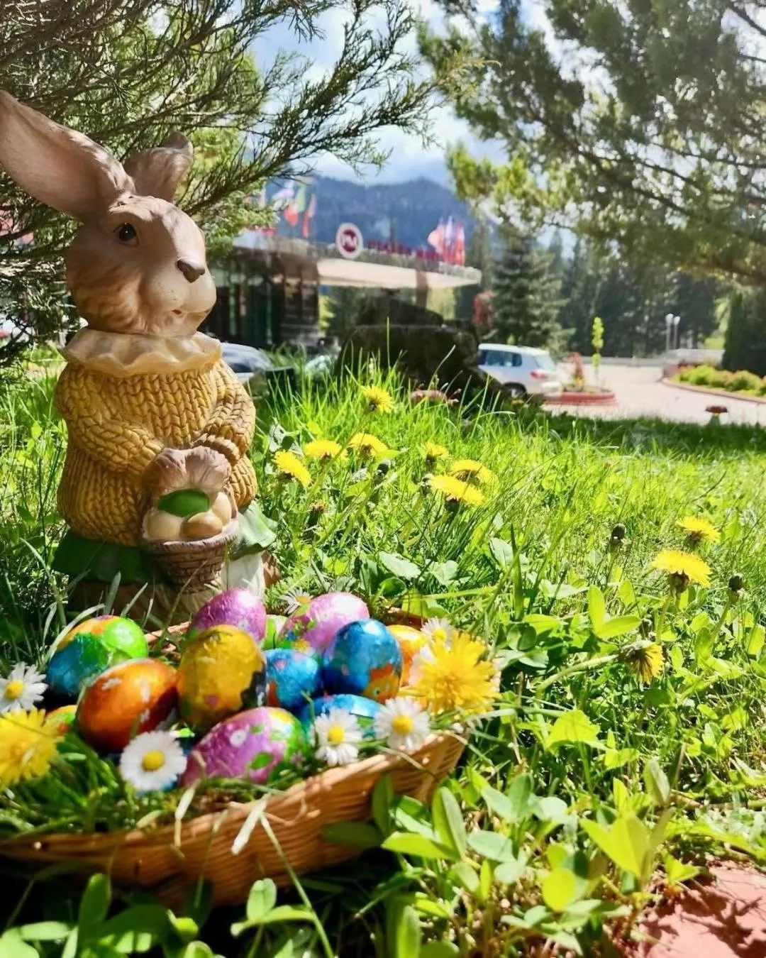 Spring in Hotel Piatra Mare