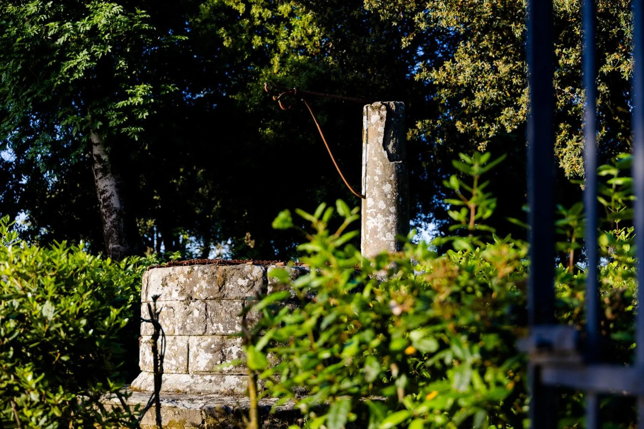 Garden in Villa Il Fedino