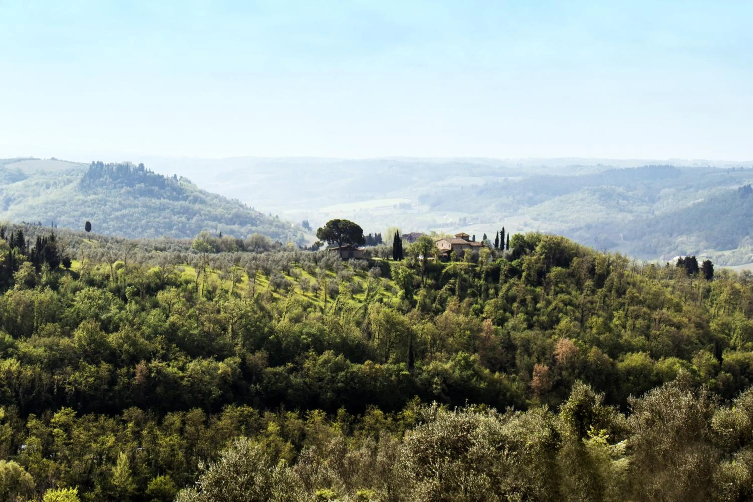 View (from property/room) in Villa Il Fedino