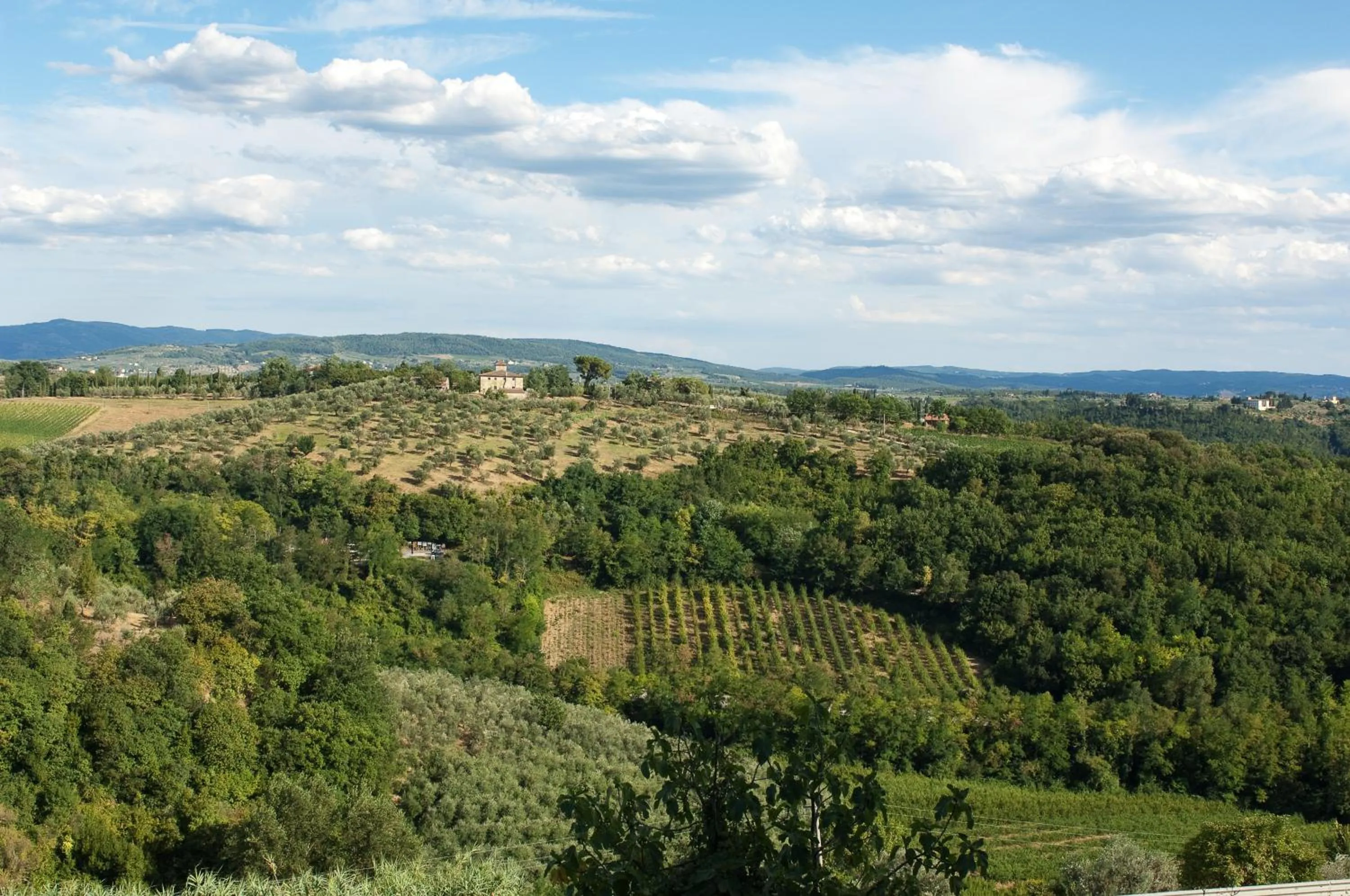 View (from property/room) in Villa Il Fedino