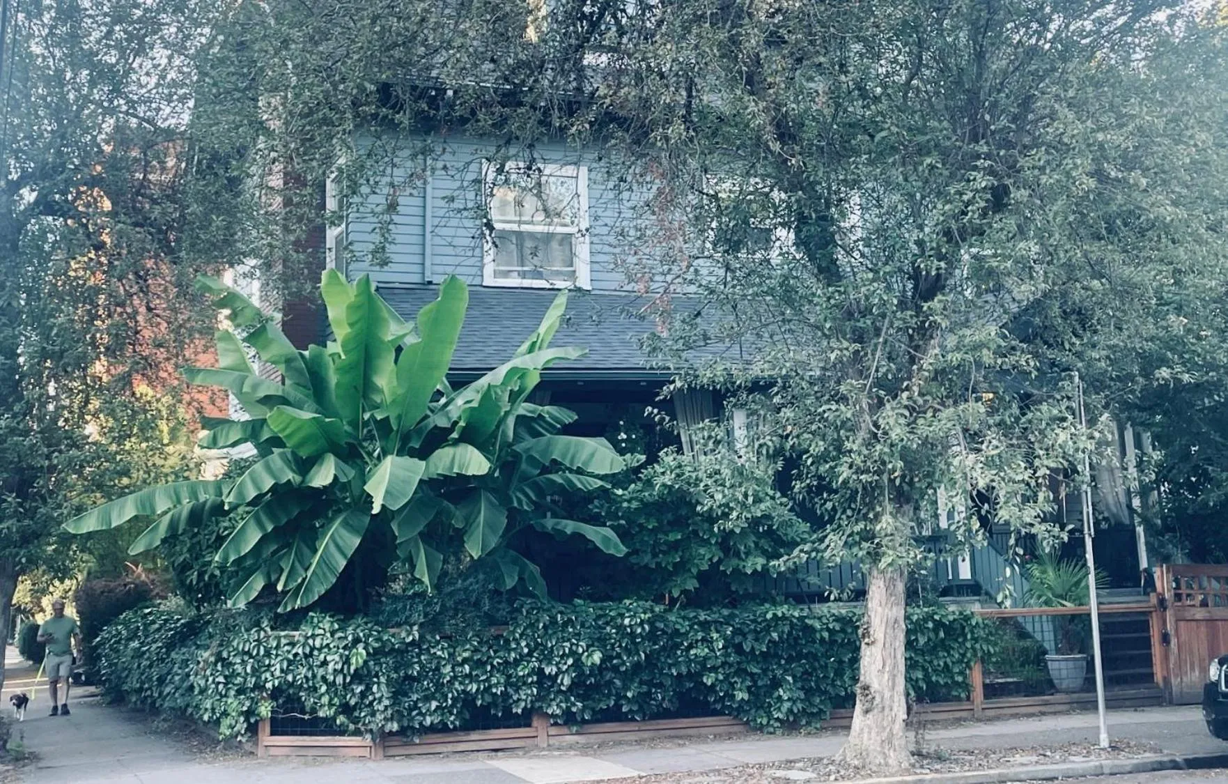 Property building in Portland International Guesthouse