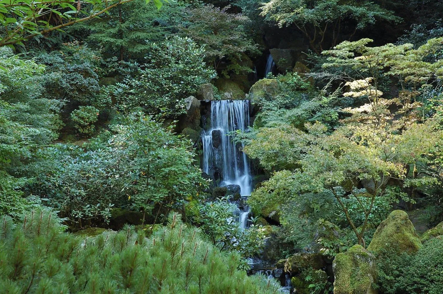 Natural landscape in Portland International Guesthouse