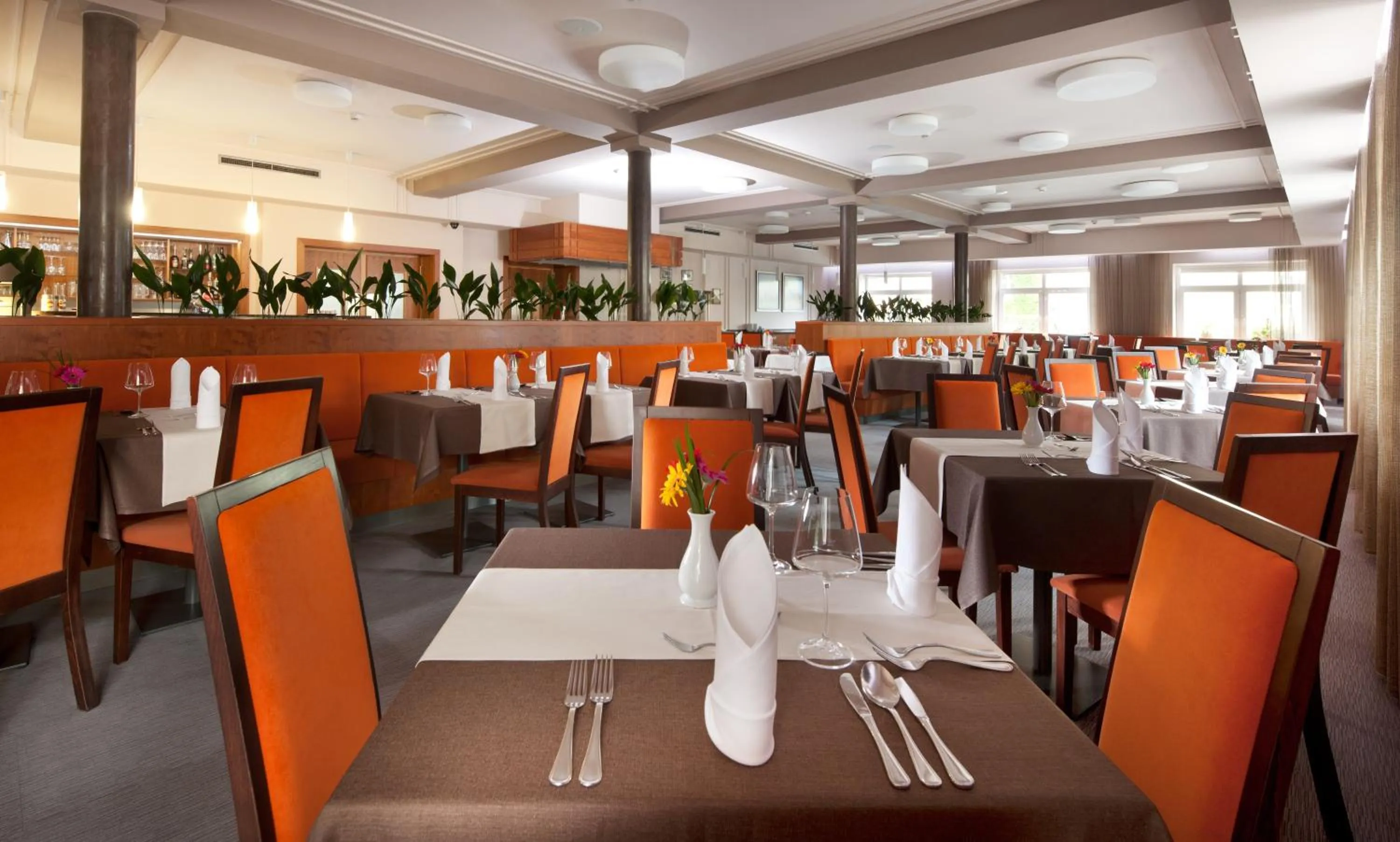 Restaurant/places to eat in Hotel Reza