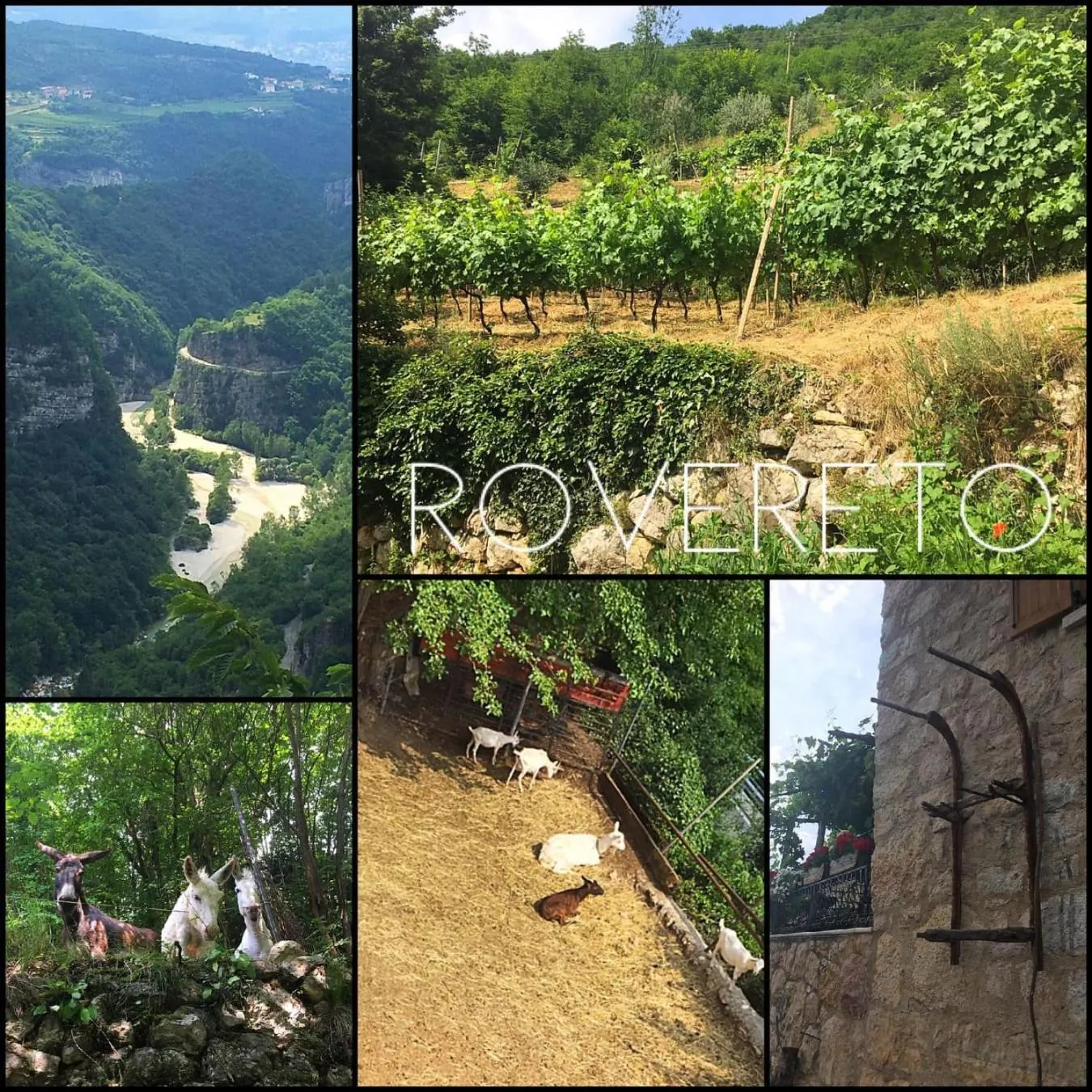 Property building in Appartamenti Camere Masi Brenta