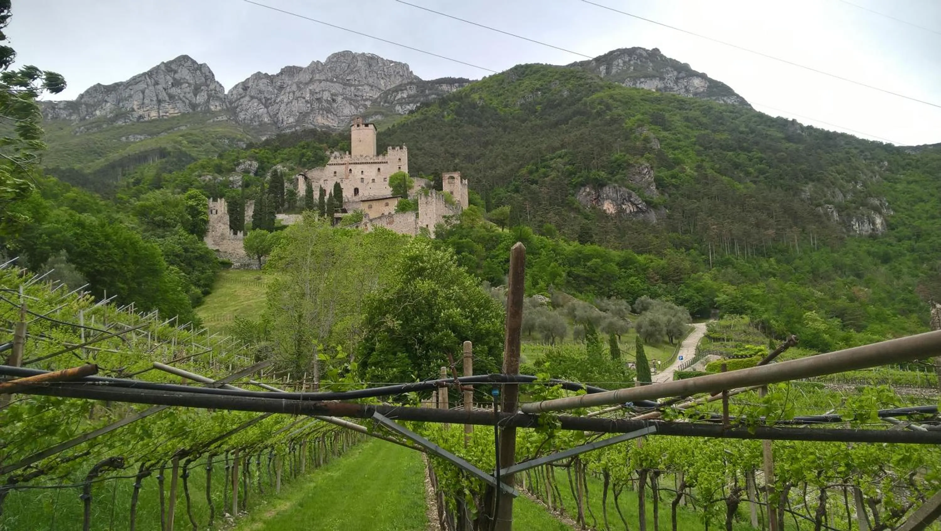 Hiking in Appartamenti Camere Masi Brenta