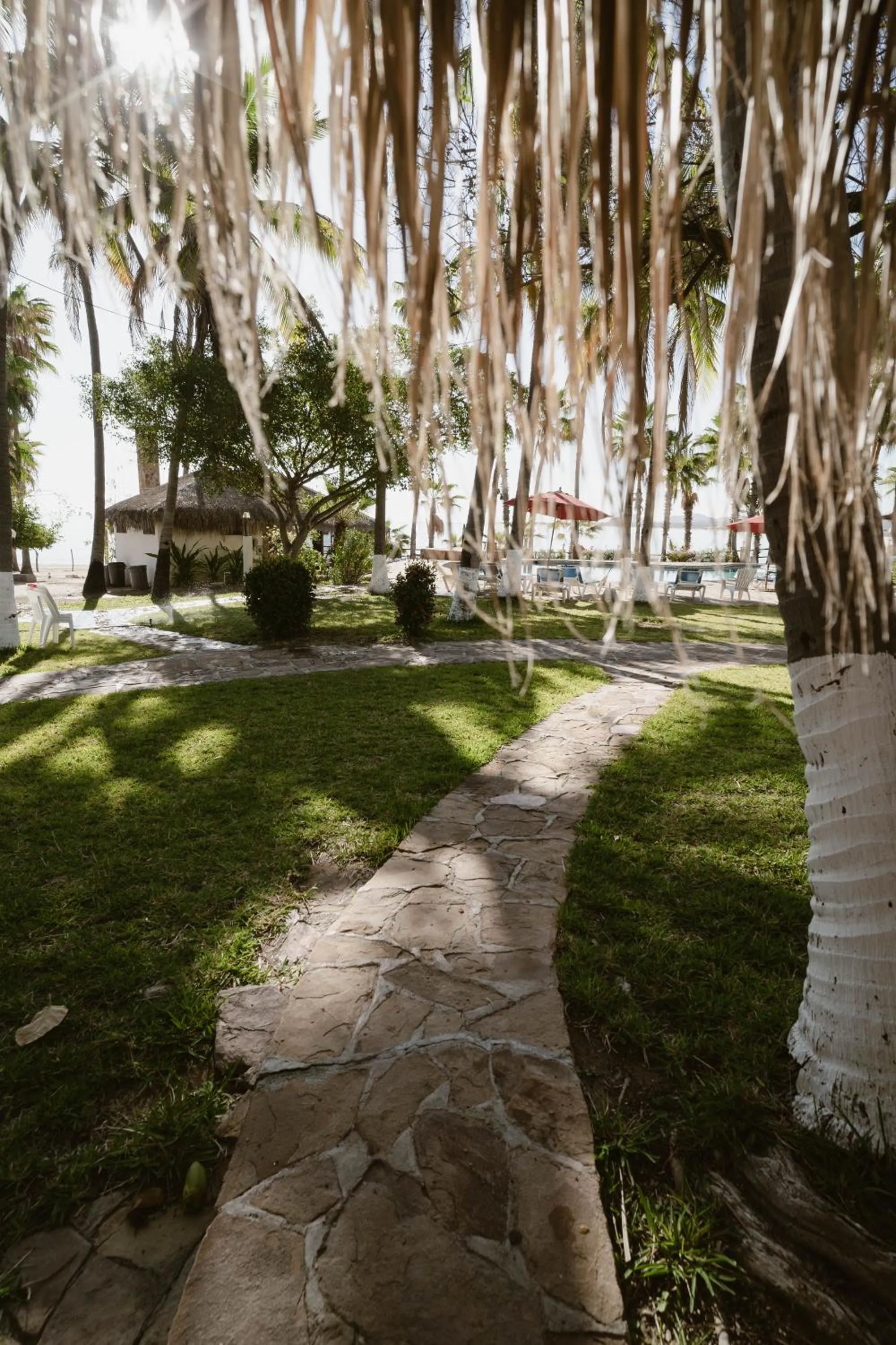 Hotel Rancho Buenavista