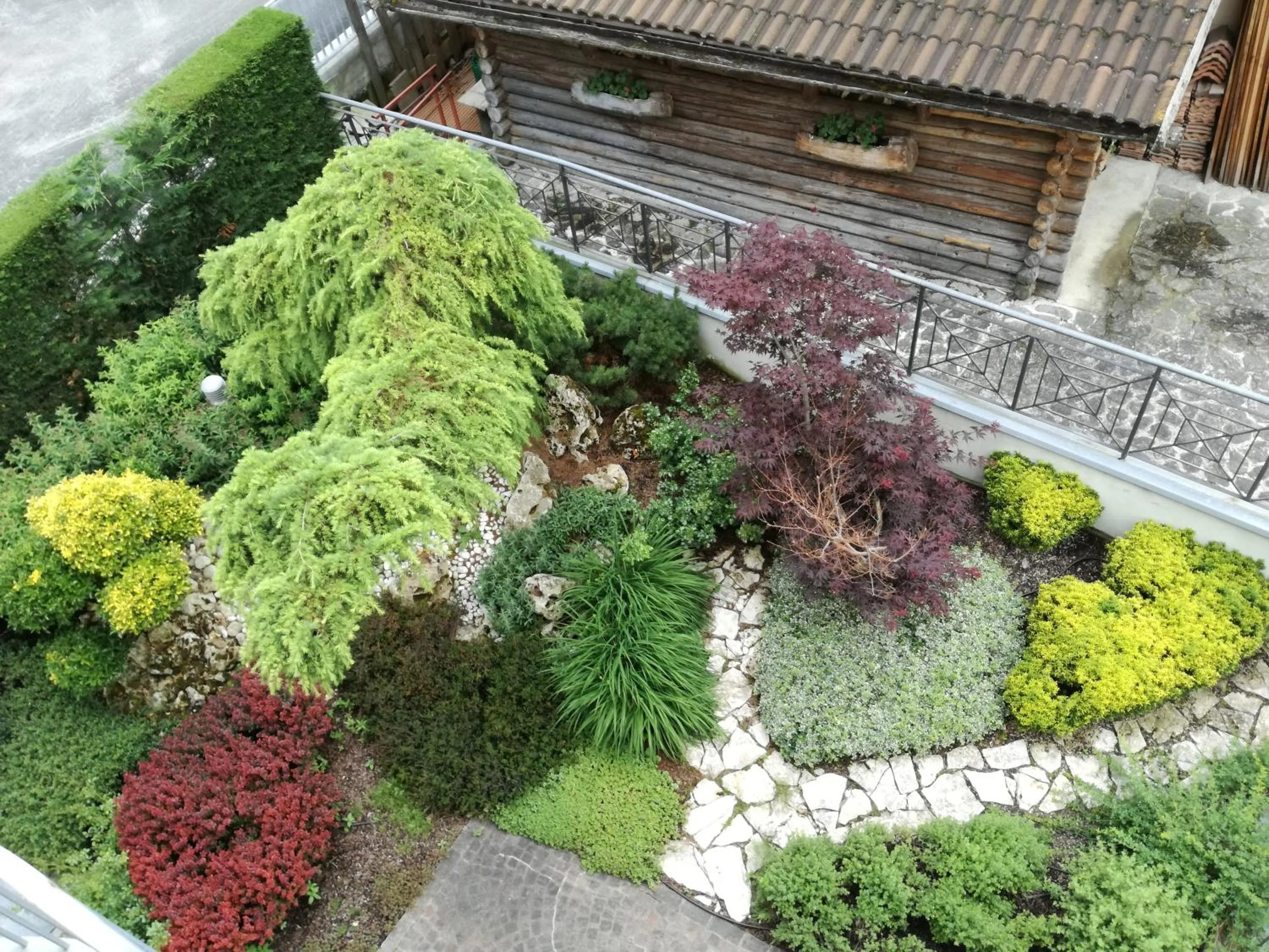 Garden in Hotel Garni Sottobosco