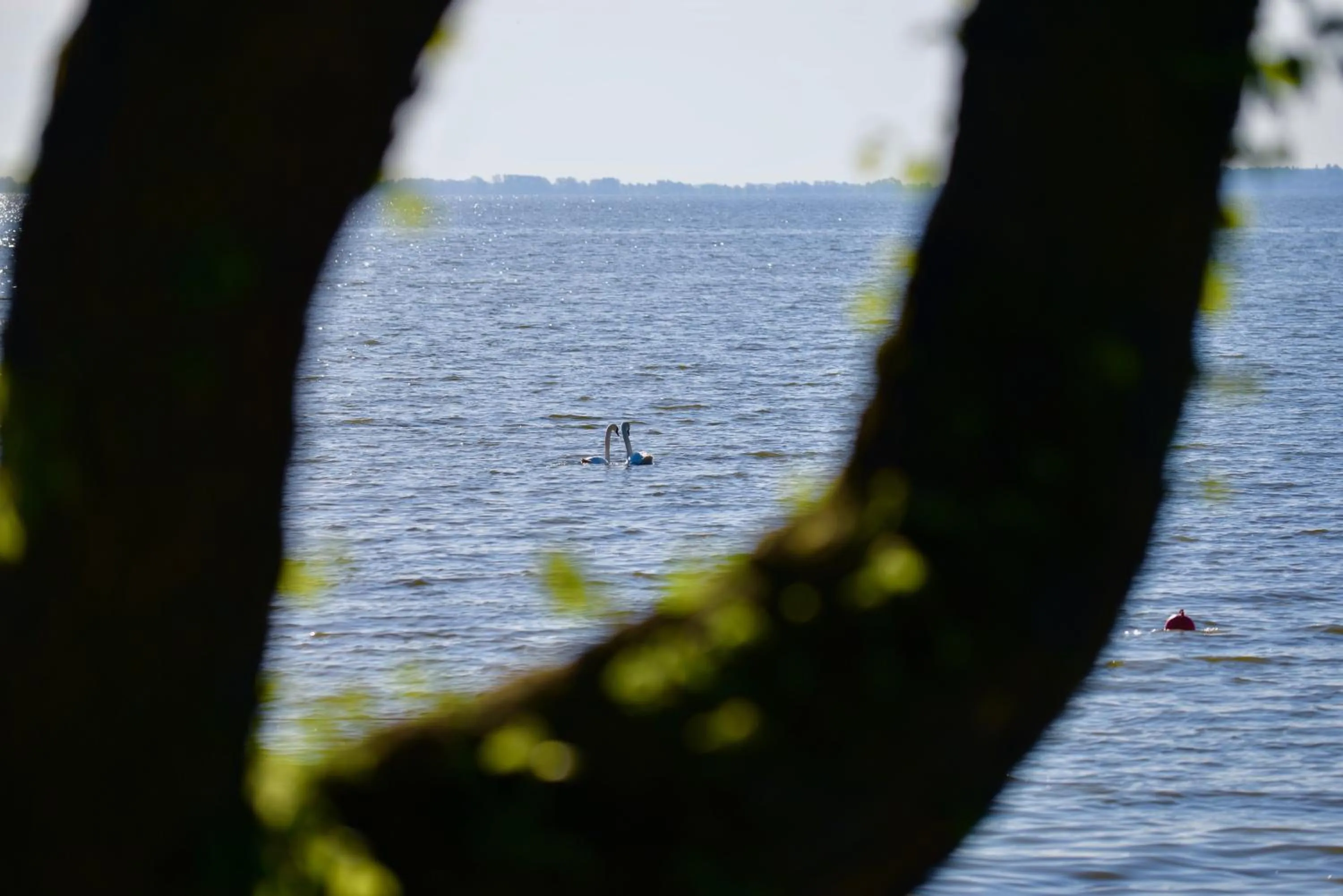 Natural landscape in Laiko marios