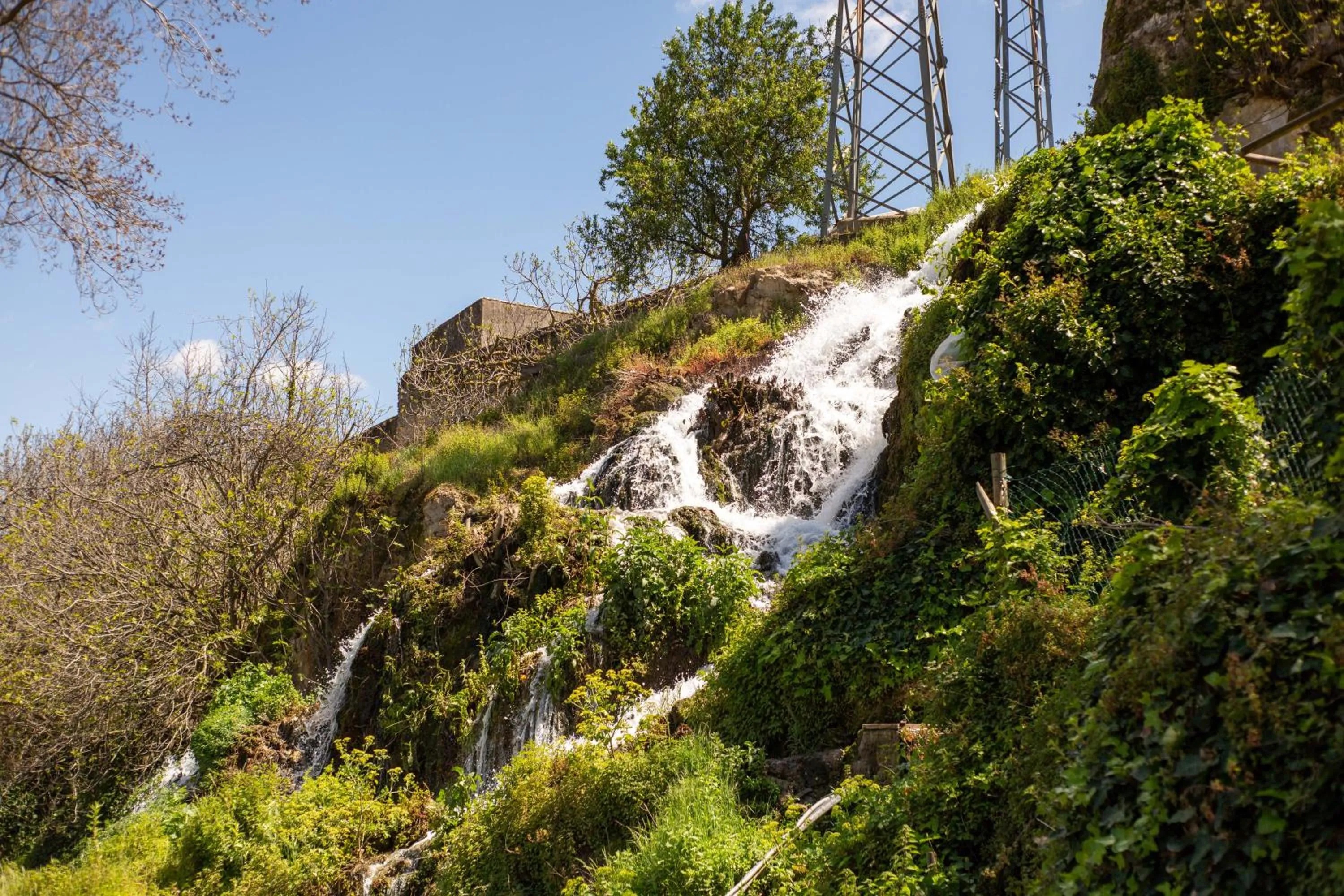 Natural landscape in Hotel Rural El Castillejo - A 15 min de Ronda