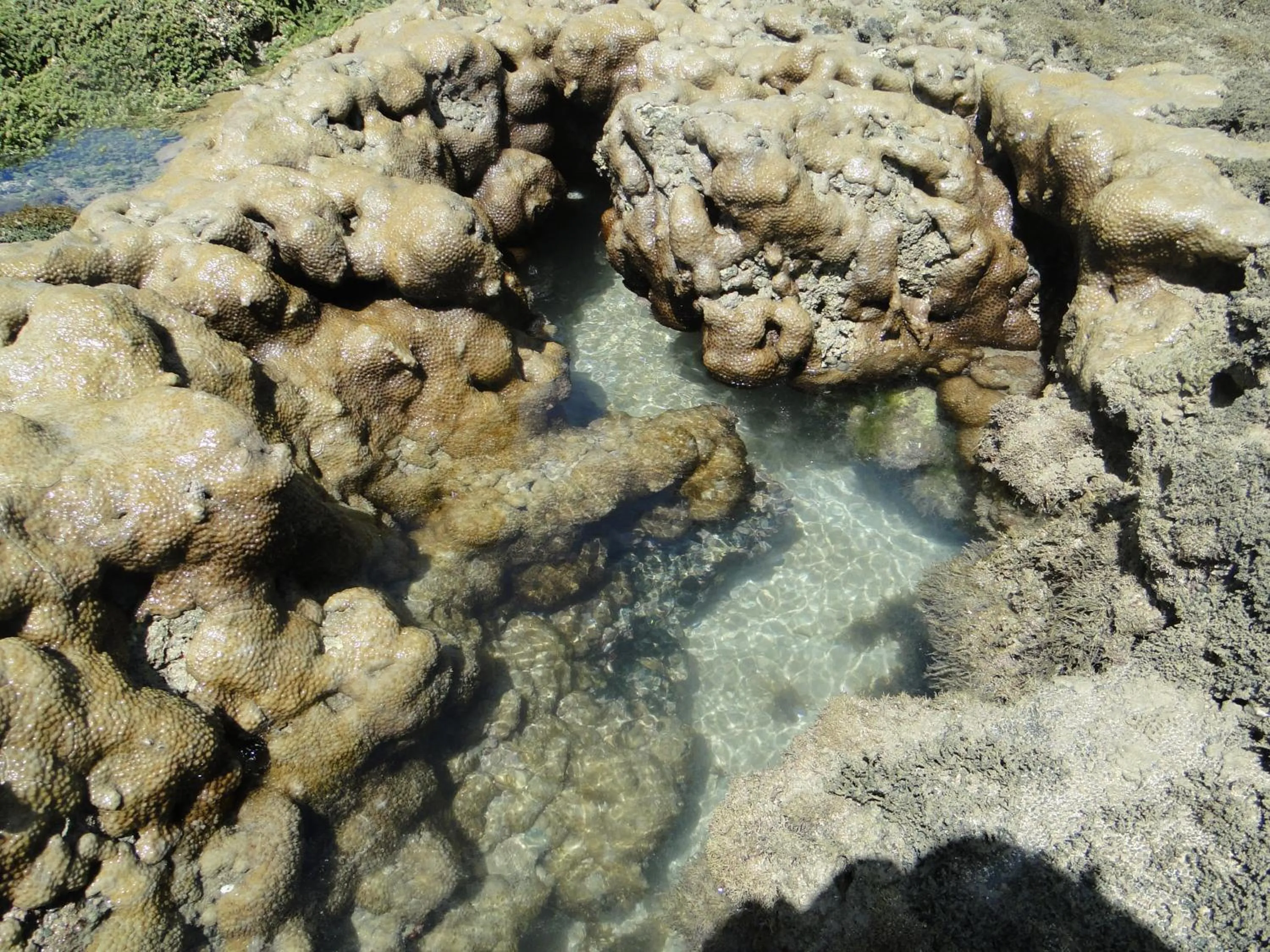 Diving in Hotel Pousada Arco Iris