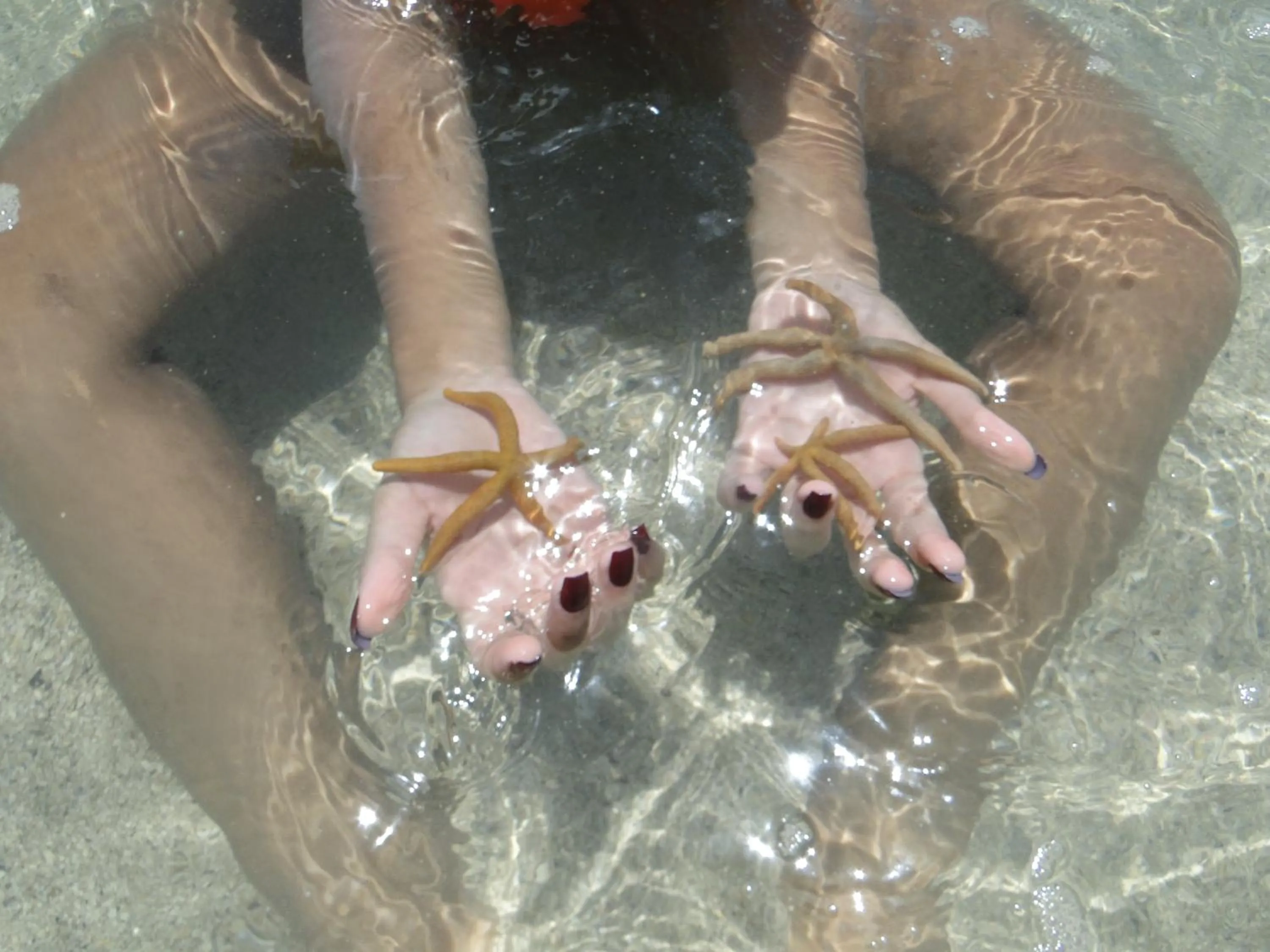 Snorkeling in Hotel Pousada Arco Iris
