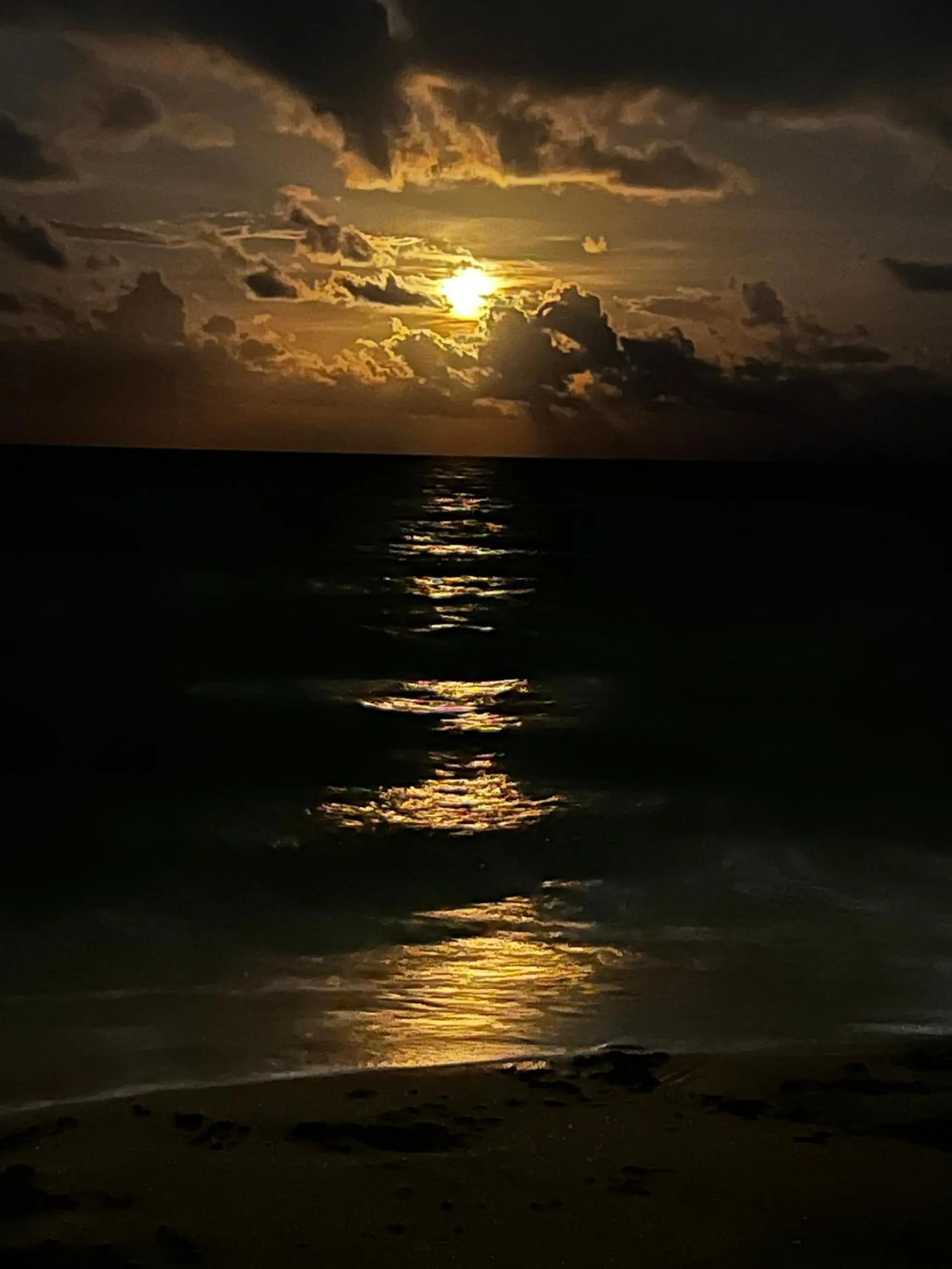 Beach in Royal Flamingo Villas