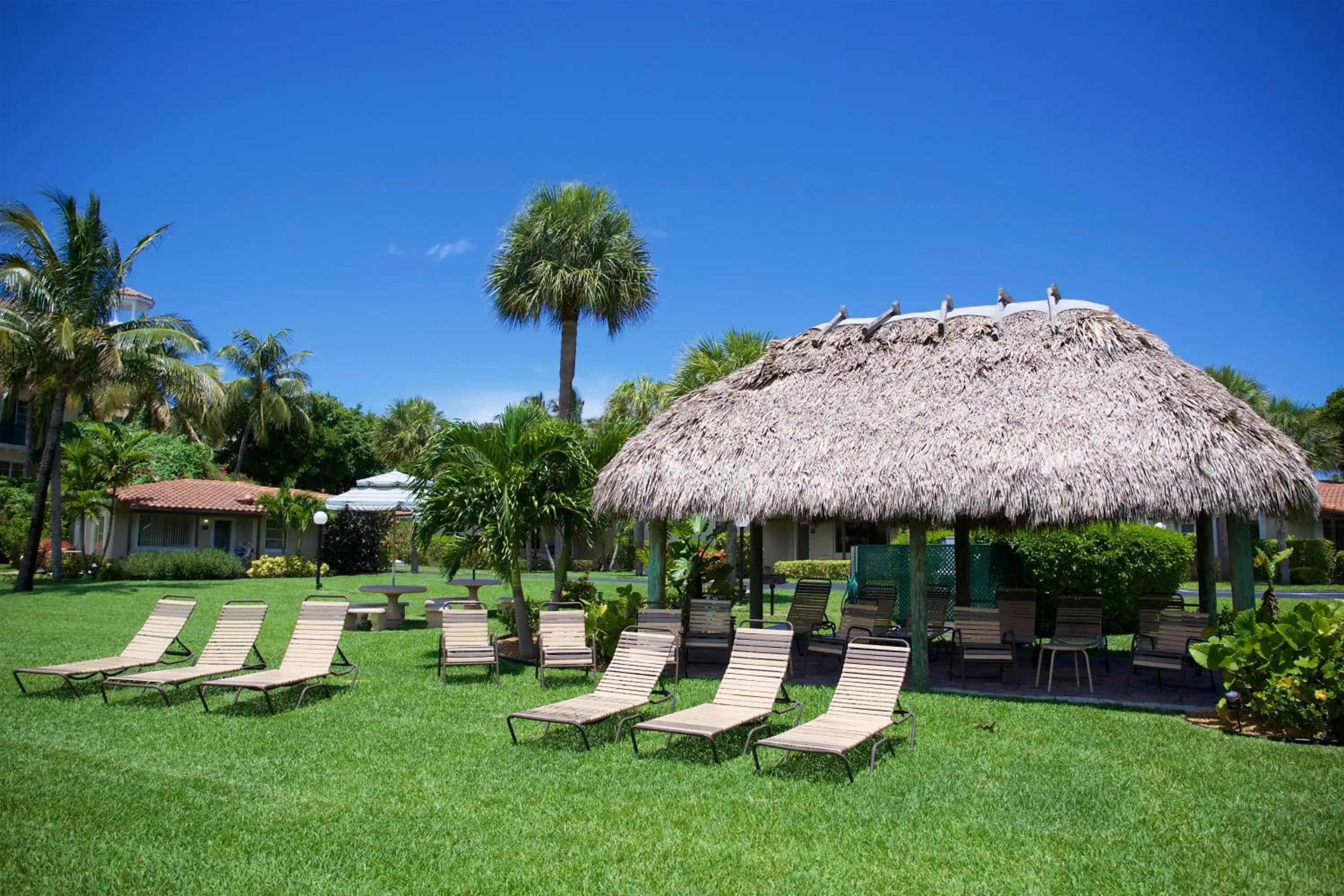Area and facilities, Swimming Pool in Royal Flamingo Villas