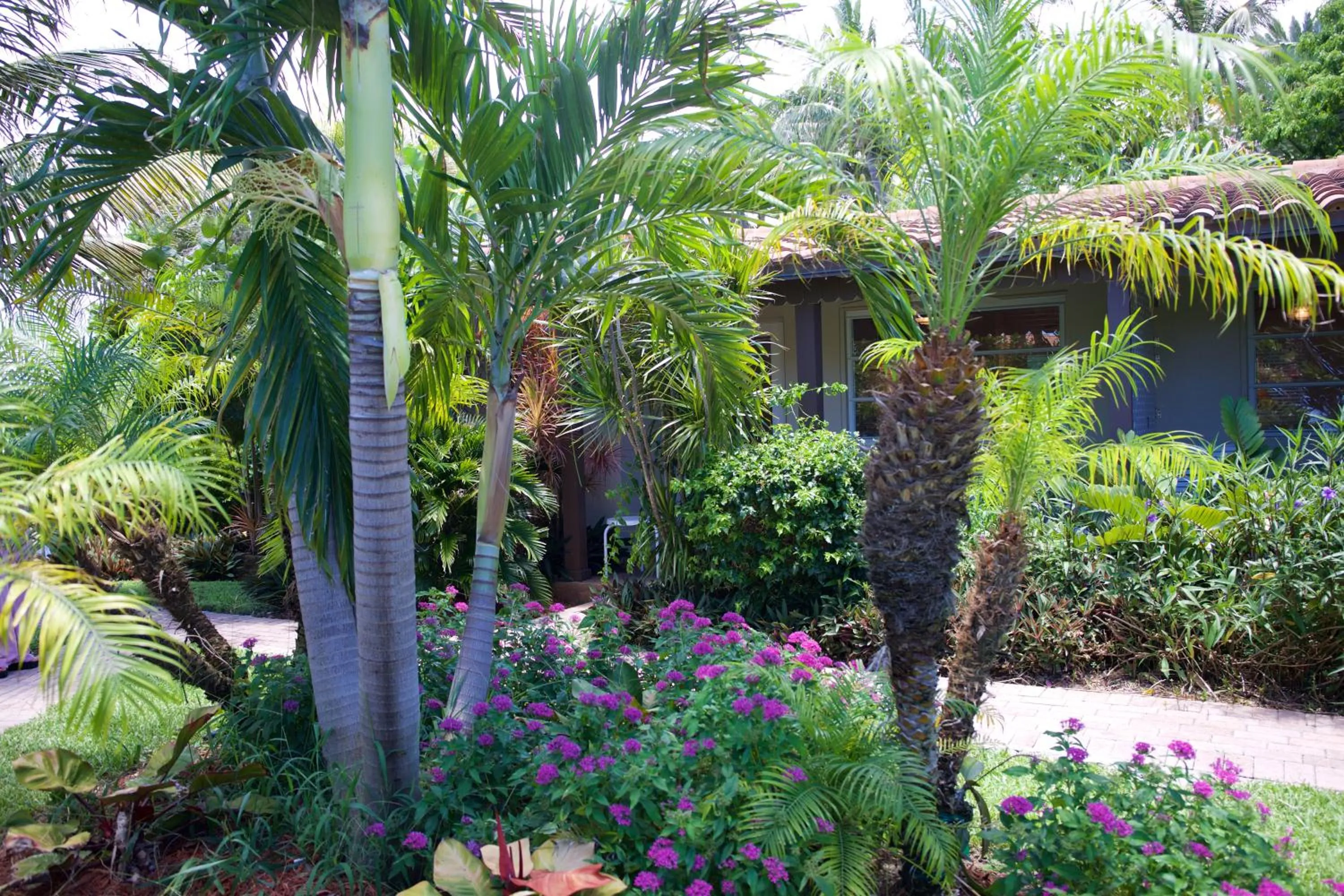 Garden in Royal Flamingo Villas