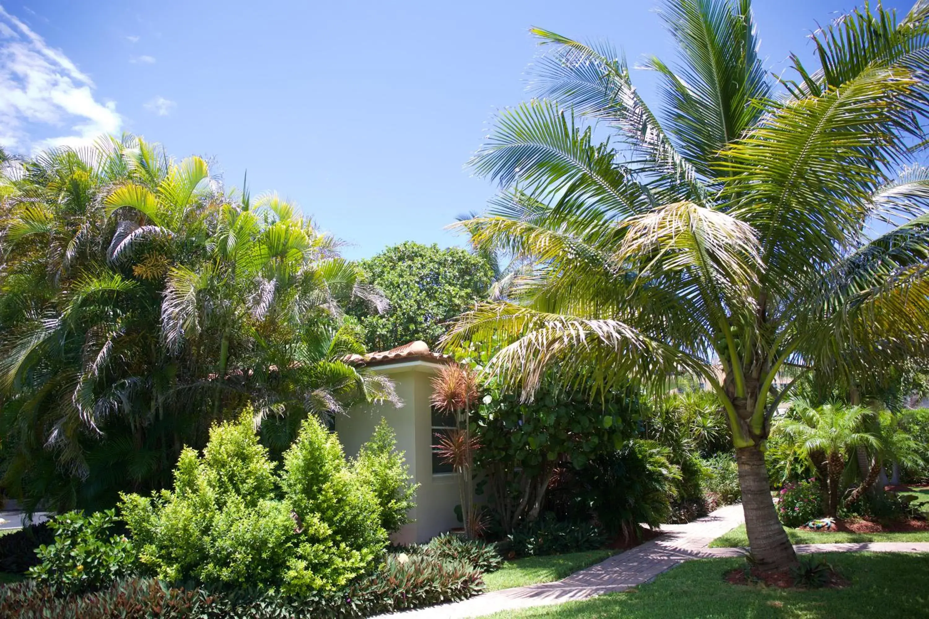 Garden in Royal Flamingo Villas