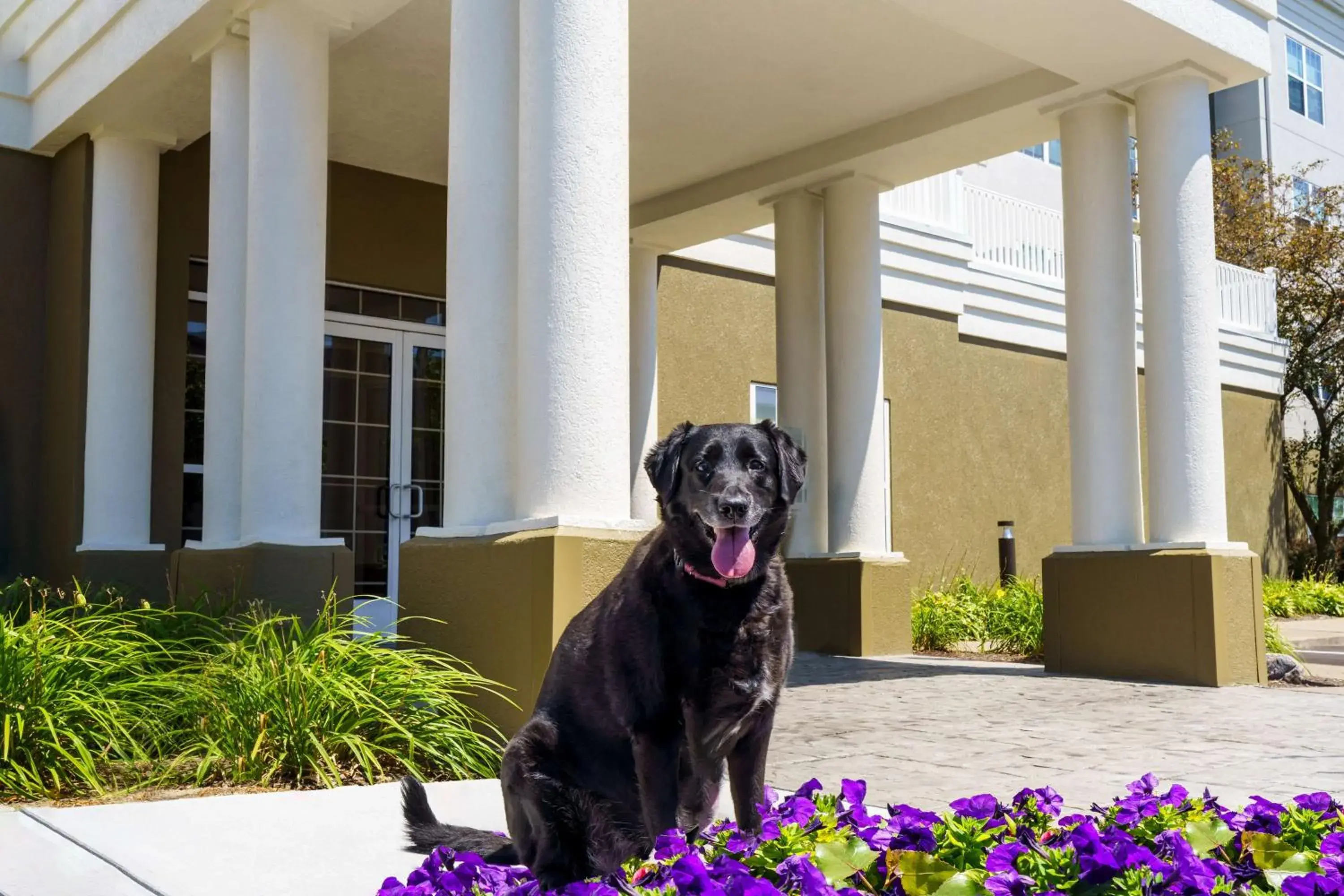 Property building in Homewood Suites by Hilton Erie Property building in Homewood Suites by Hilton Erie