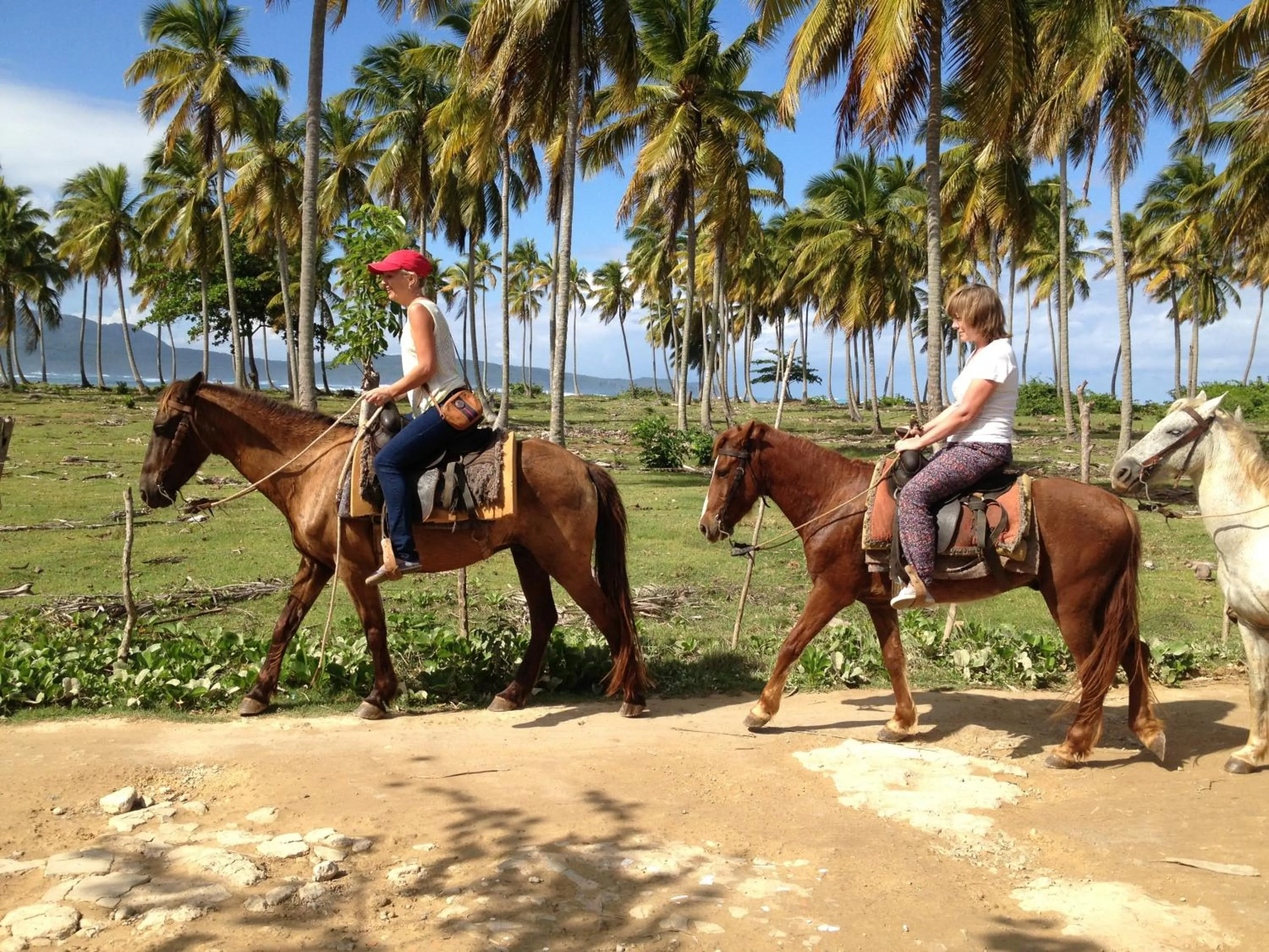Horse-riding in Villa La Caleta