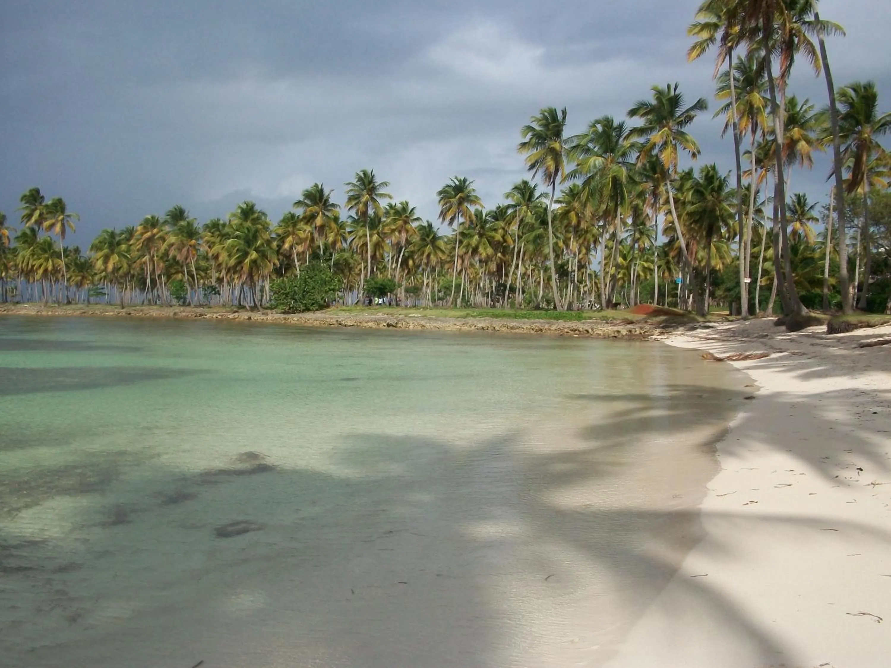 Beach in Villa La Caleta