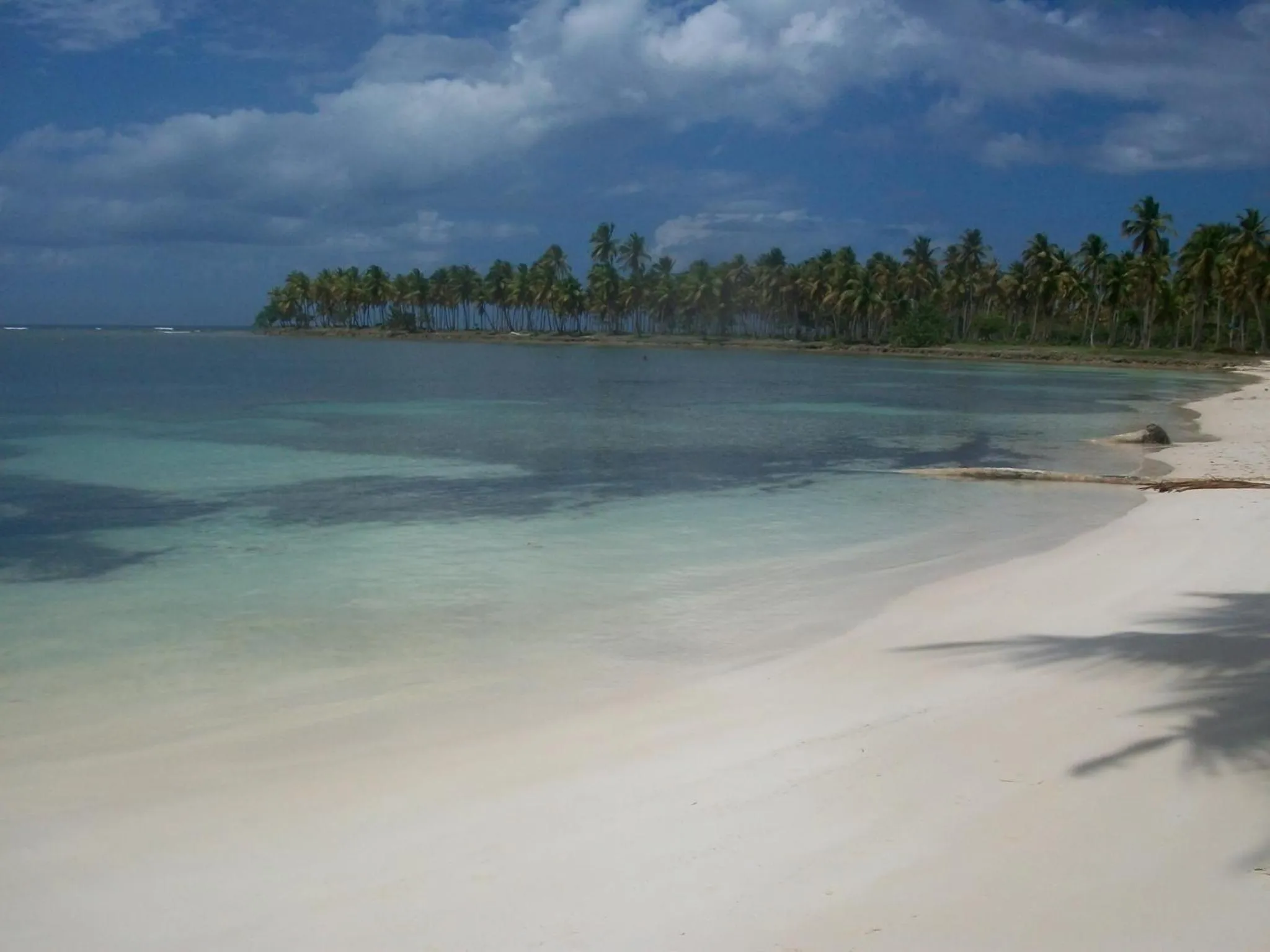 Beach in Villa La Caleta