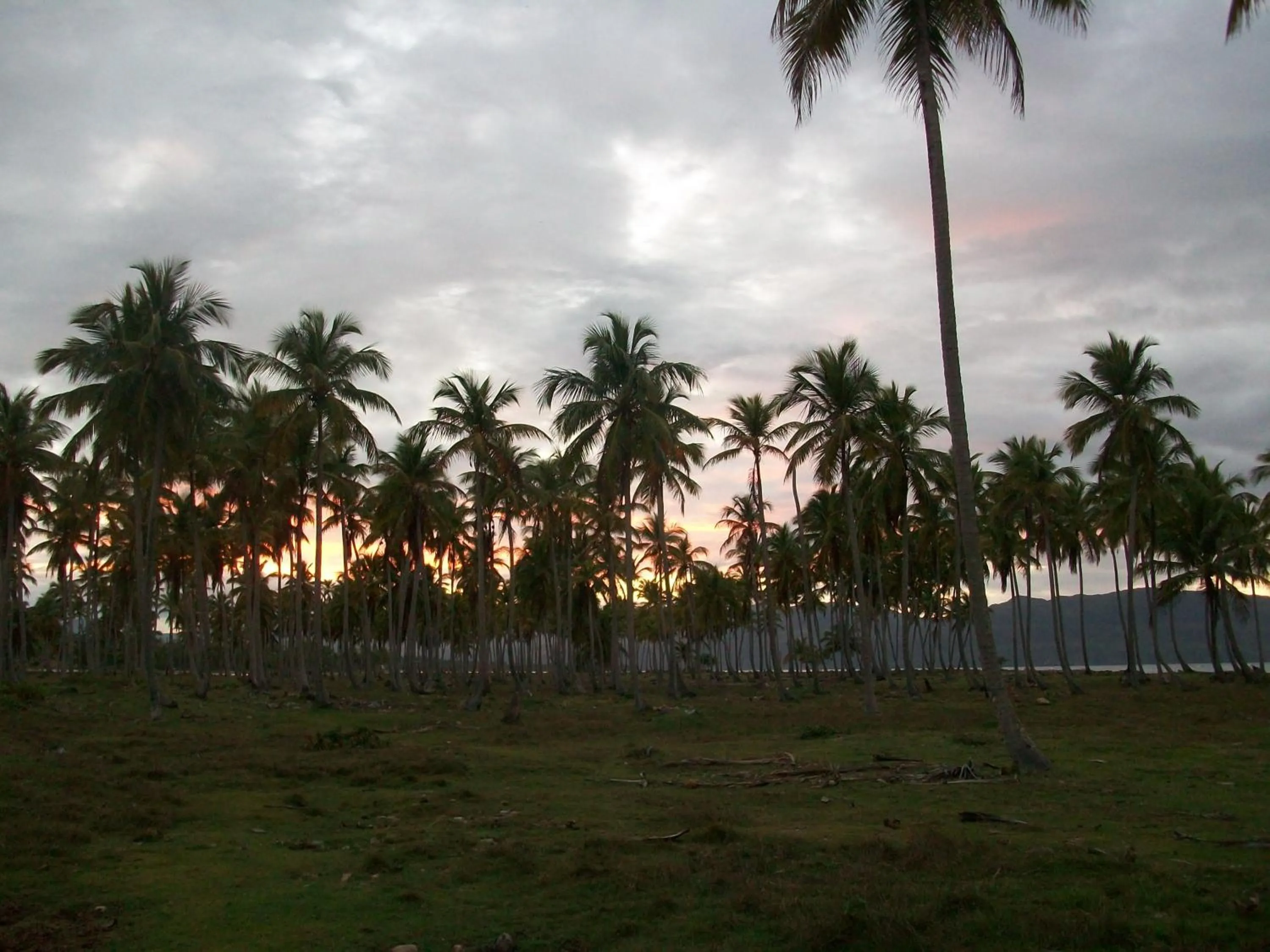 Garden in Villa La Caleta