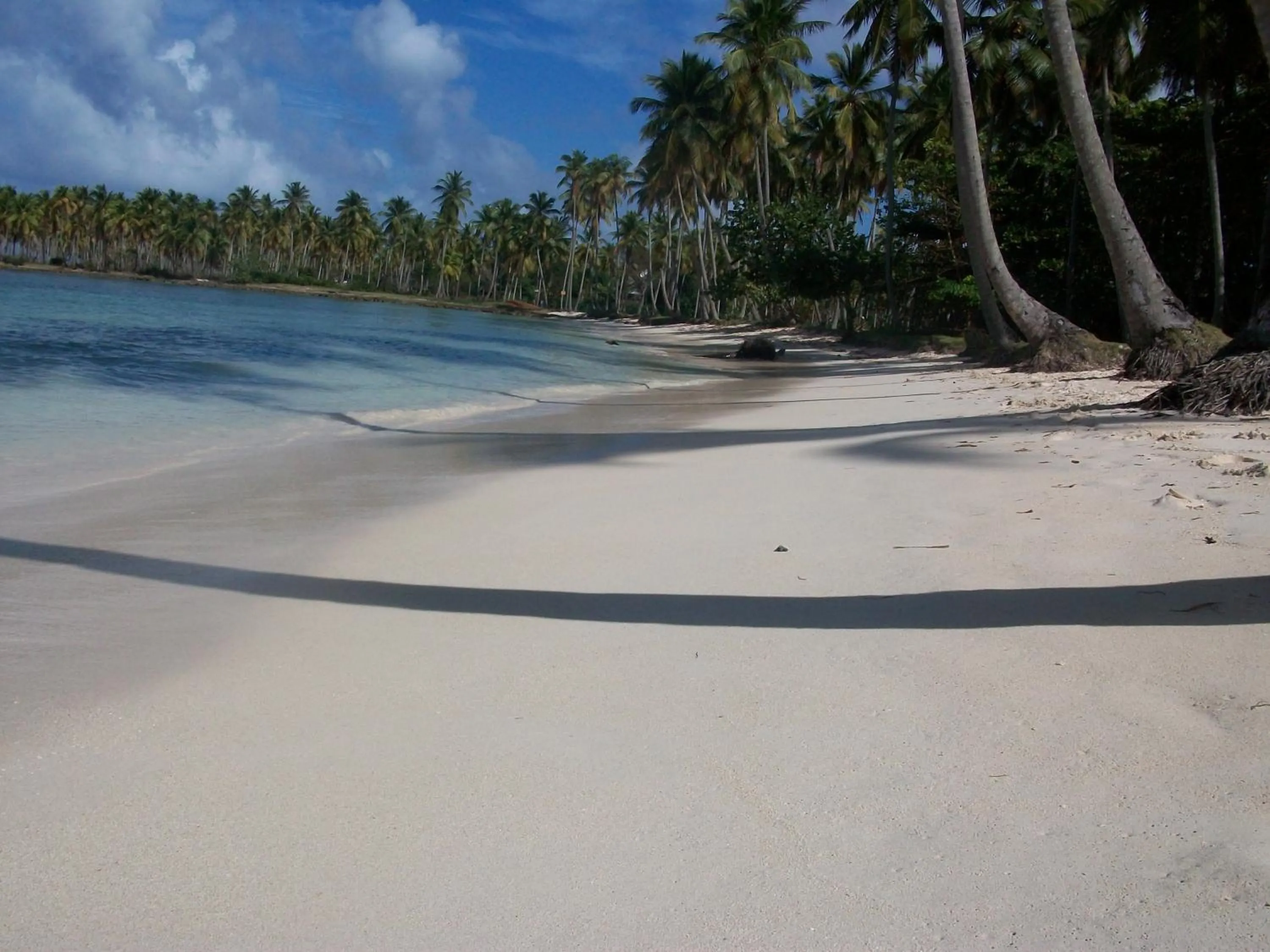 Beach in Villa La Caleta