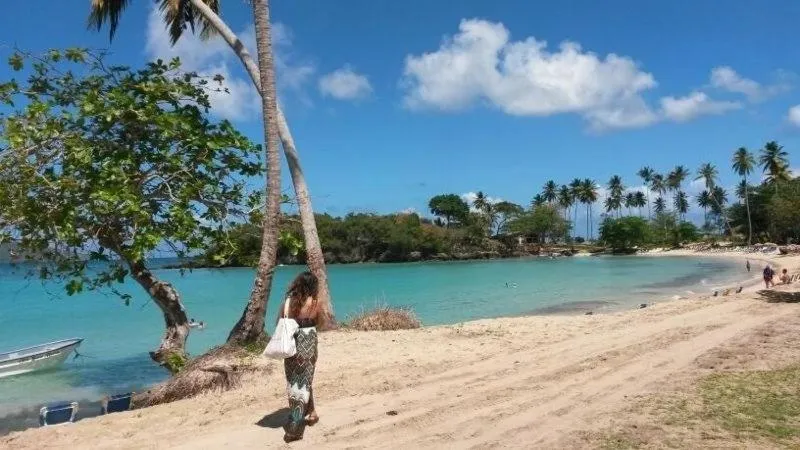 Beach in Villa La Caleta