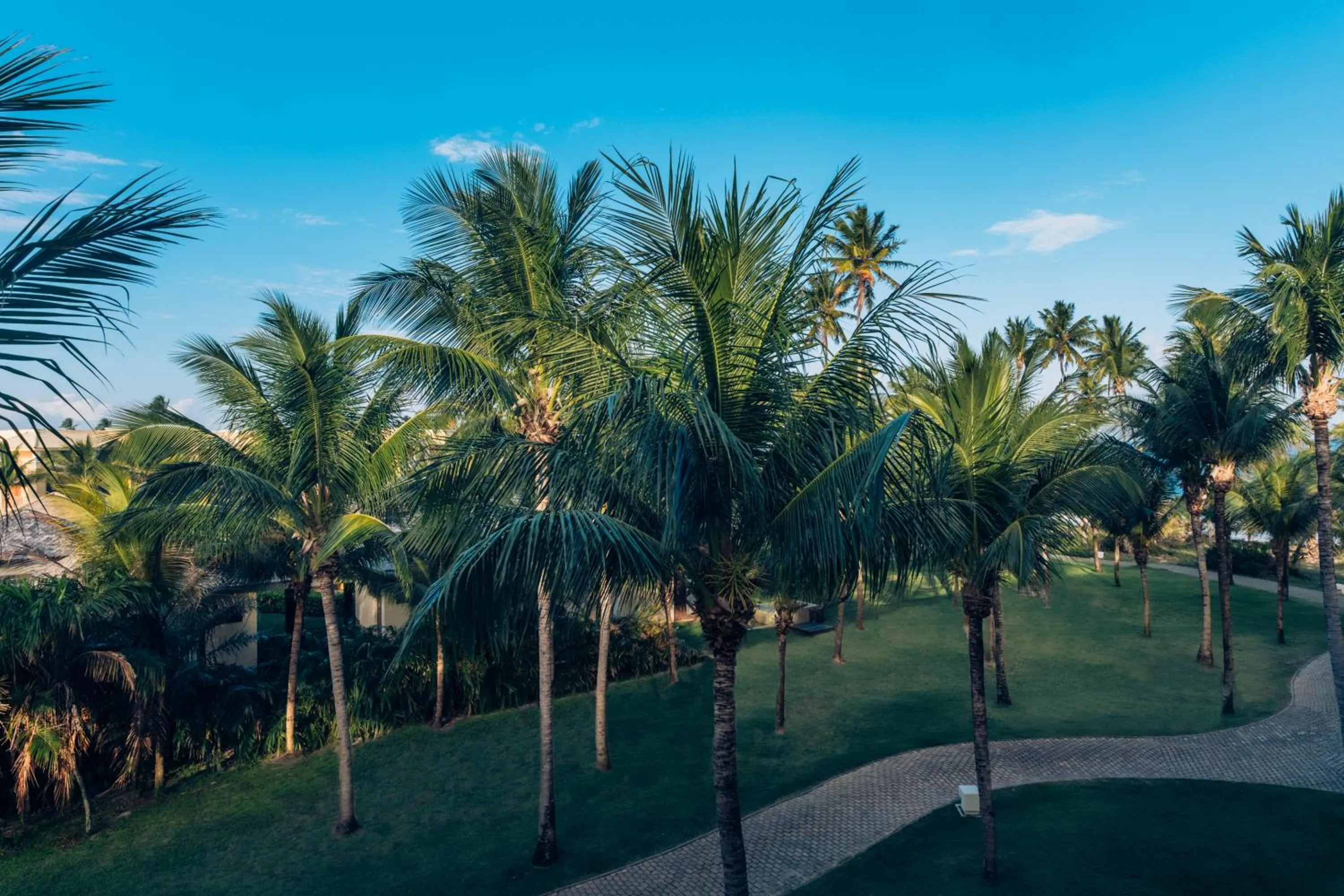 Natural landscape in Iberostar Waves Bahia - All Inclusive
