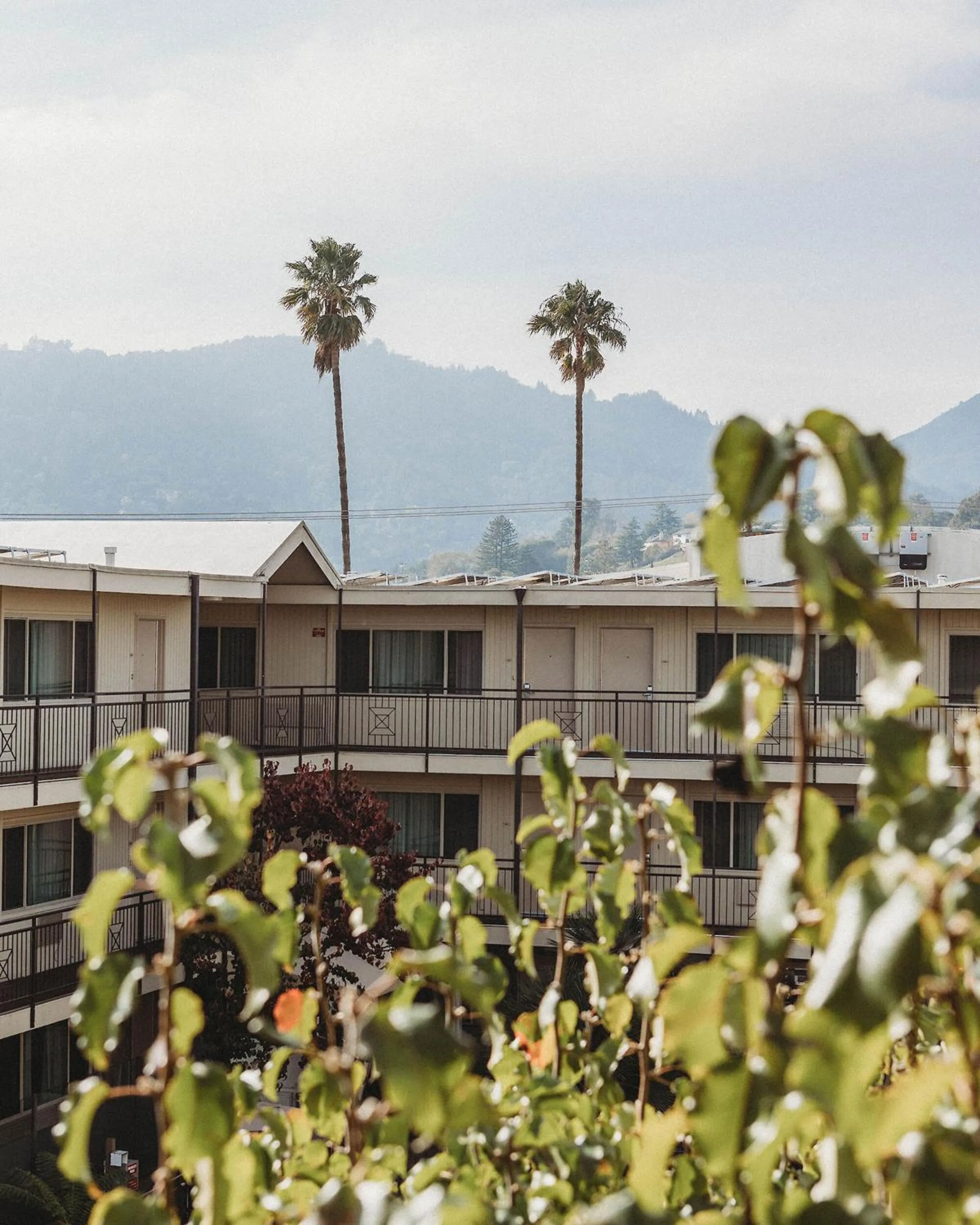 Property building in Marin Suites Hotel