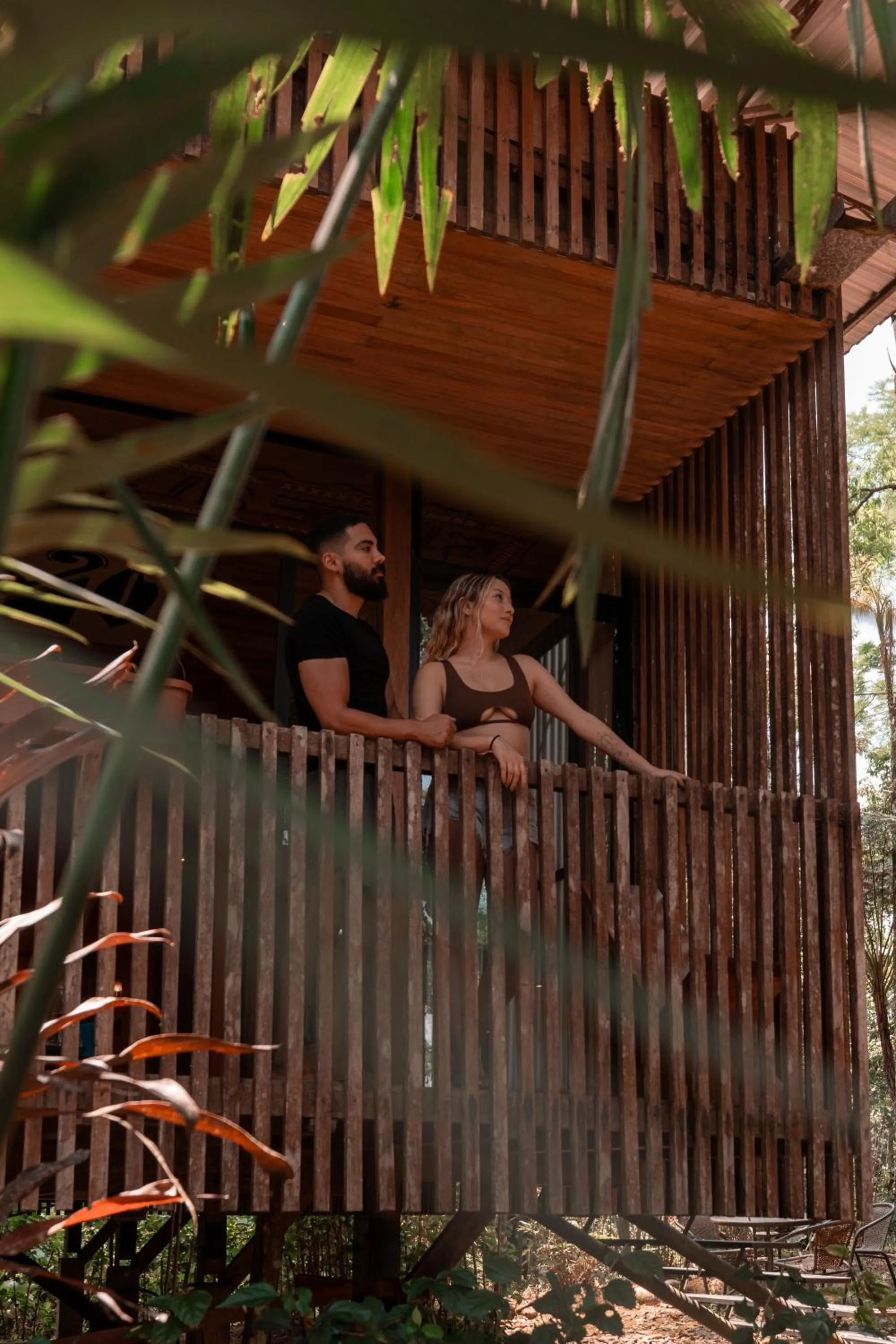 Natural landscape in Hamadryade Lodge