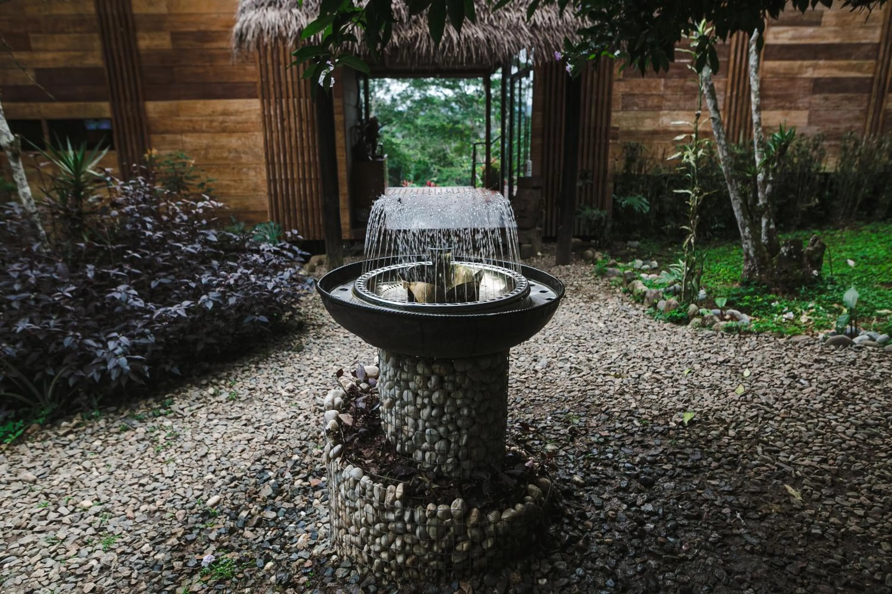 Garden in Hamadryade Lodge