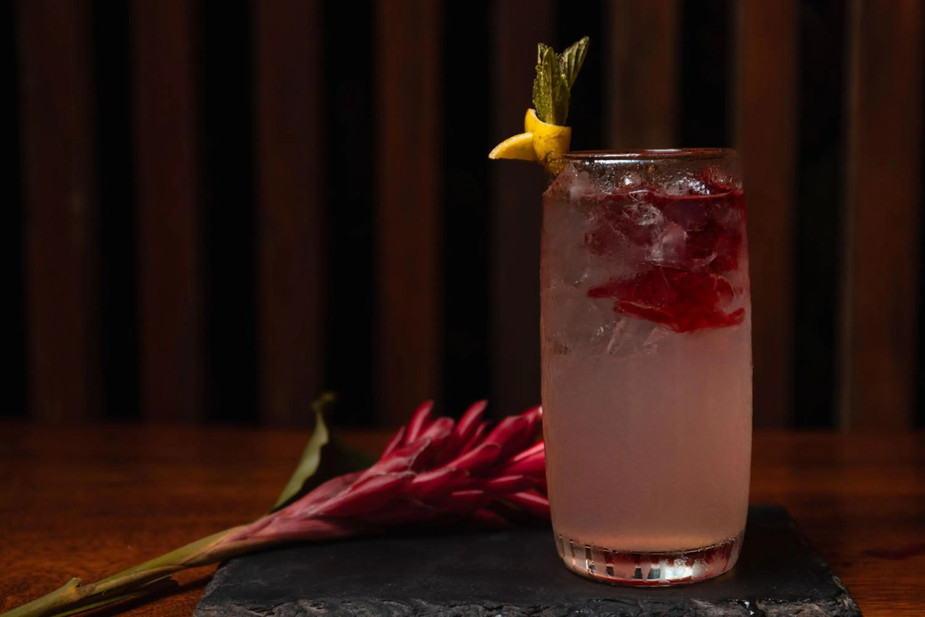 Food and drinks in Hamadryade Lodge